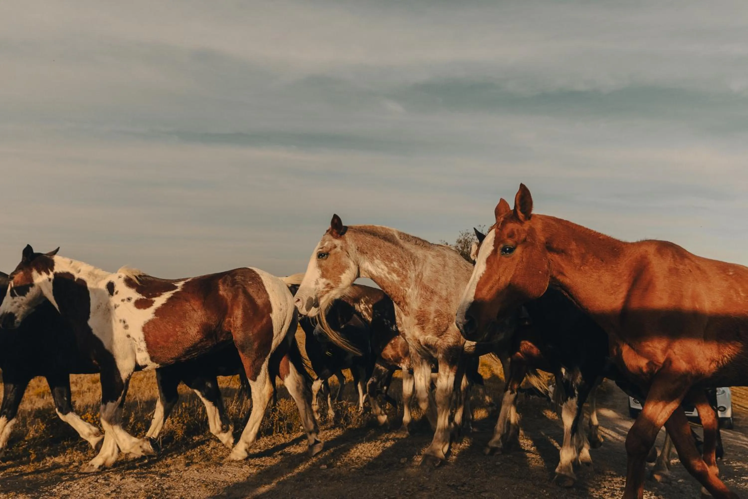 Activities in El Colibri - Relais & Châteaux