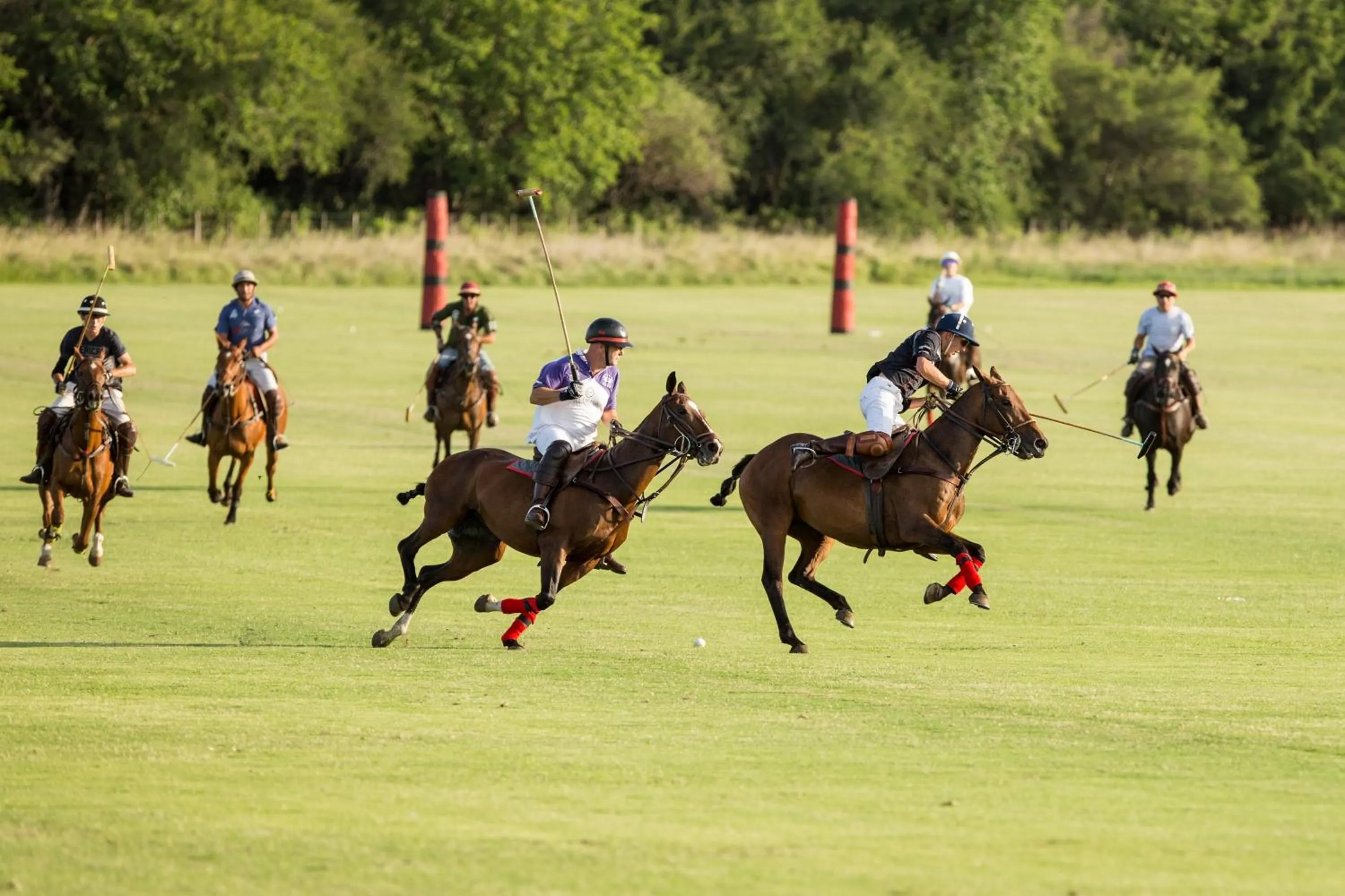 Day in El Colibri - Relais & Châteaux