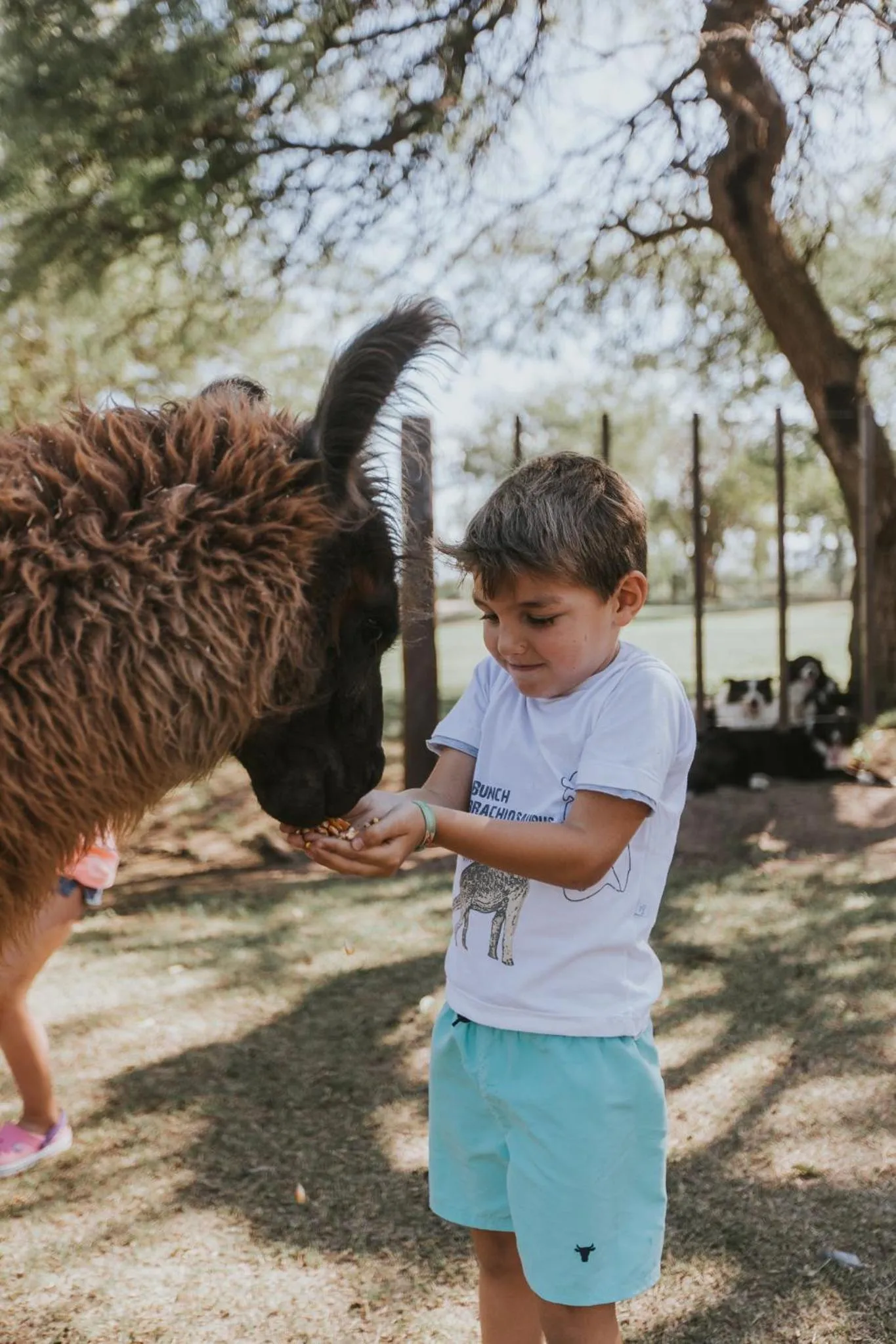 Activities in El Colibri - Relais & Châteaux