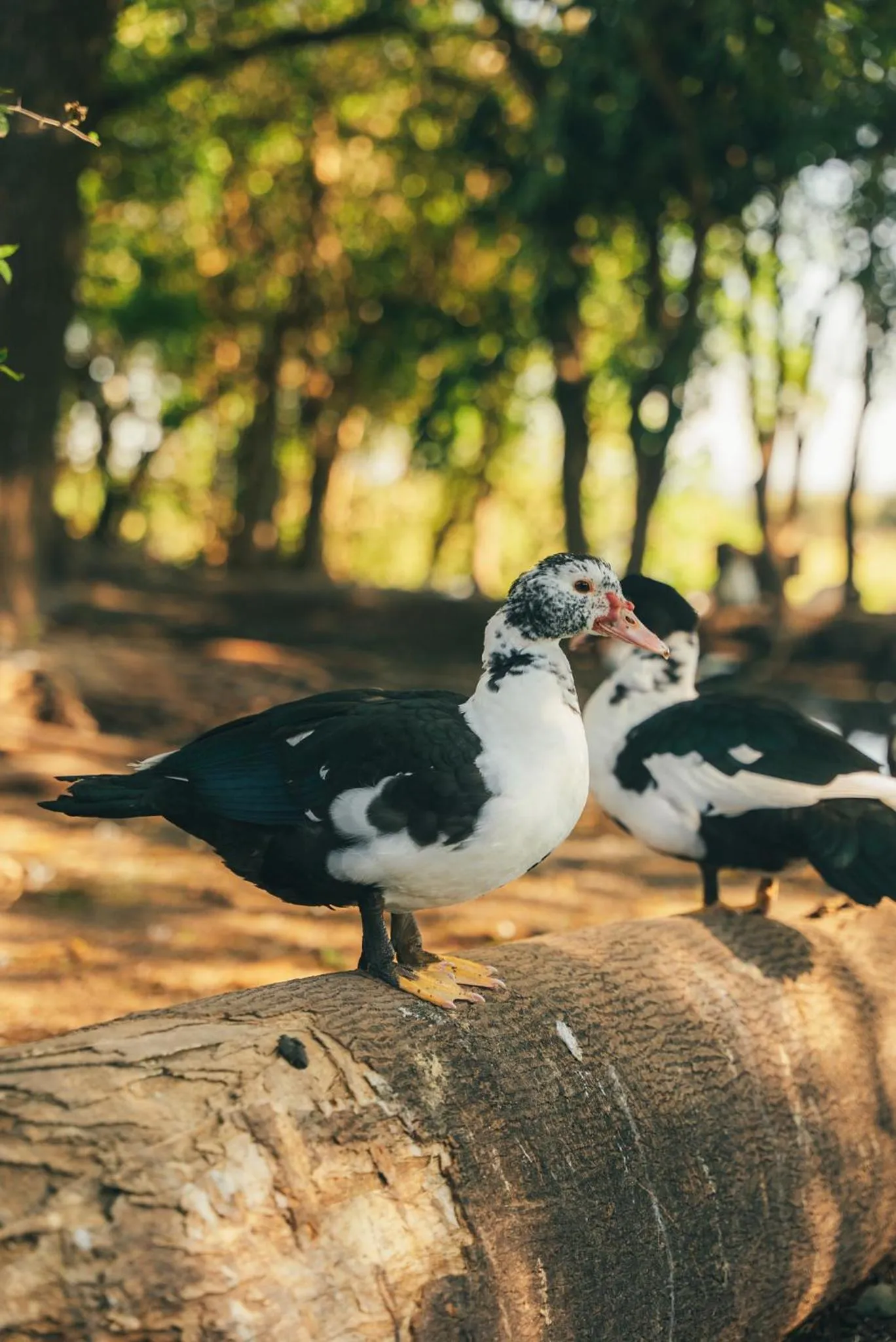 Activities in El Colibri - Relais & Châteaux