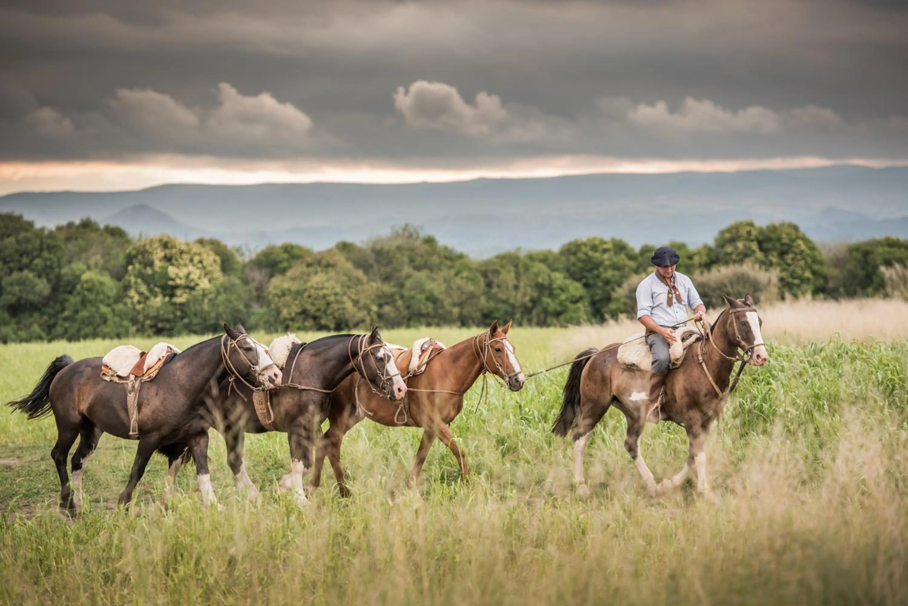 Natural landscape in El Colibri - Relais & Châteaux