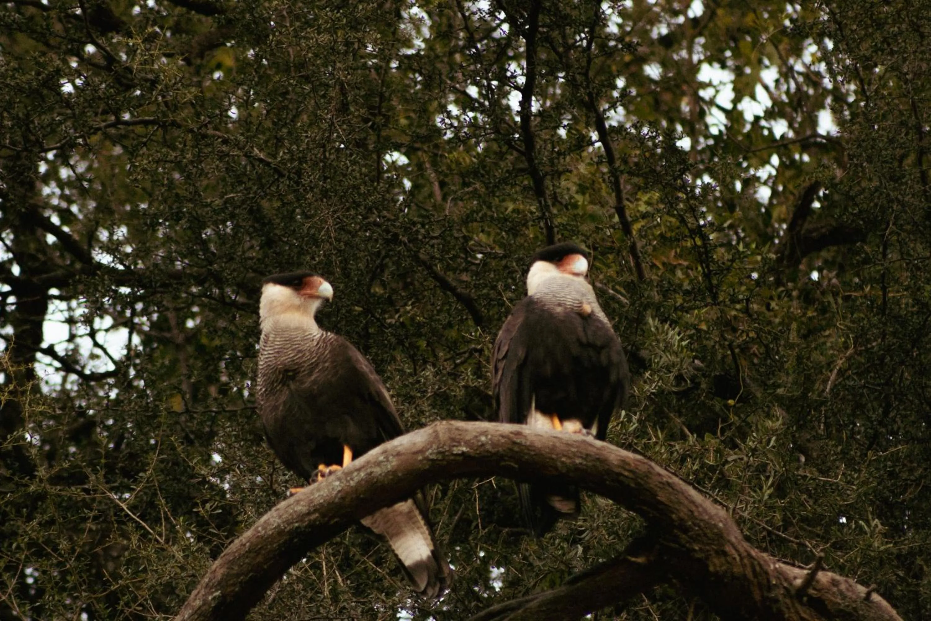 Natural landscape in El Colibri - Relais & Châteaux