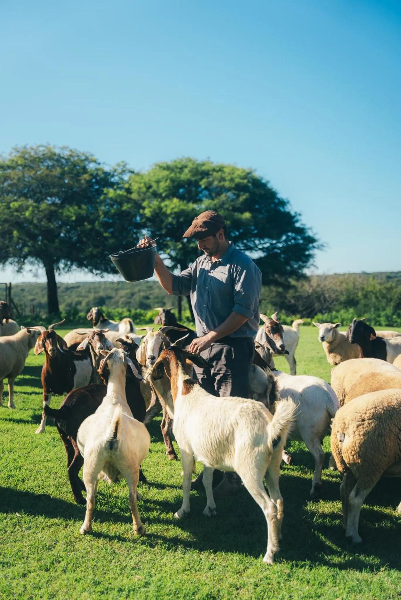 Activities in El Colibri - Relais & Châteaux