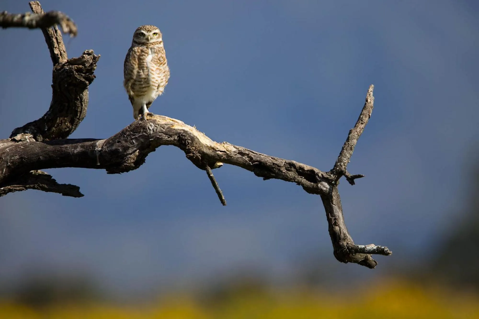 Natural landscape in House of Jasmines Relais & Châteaux