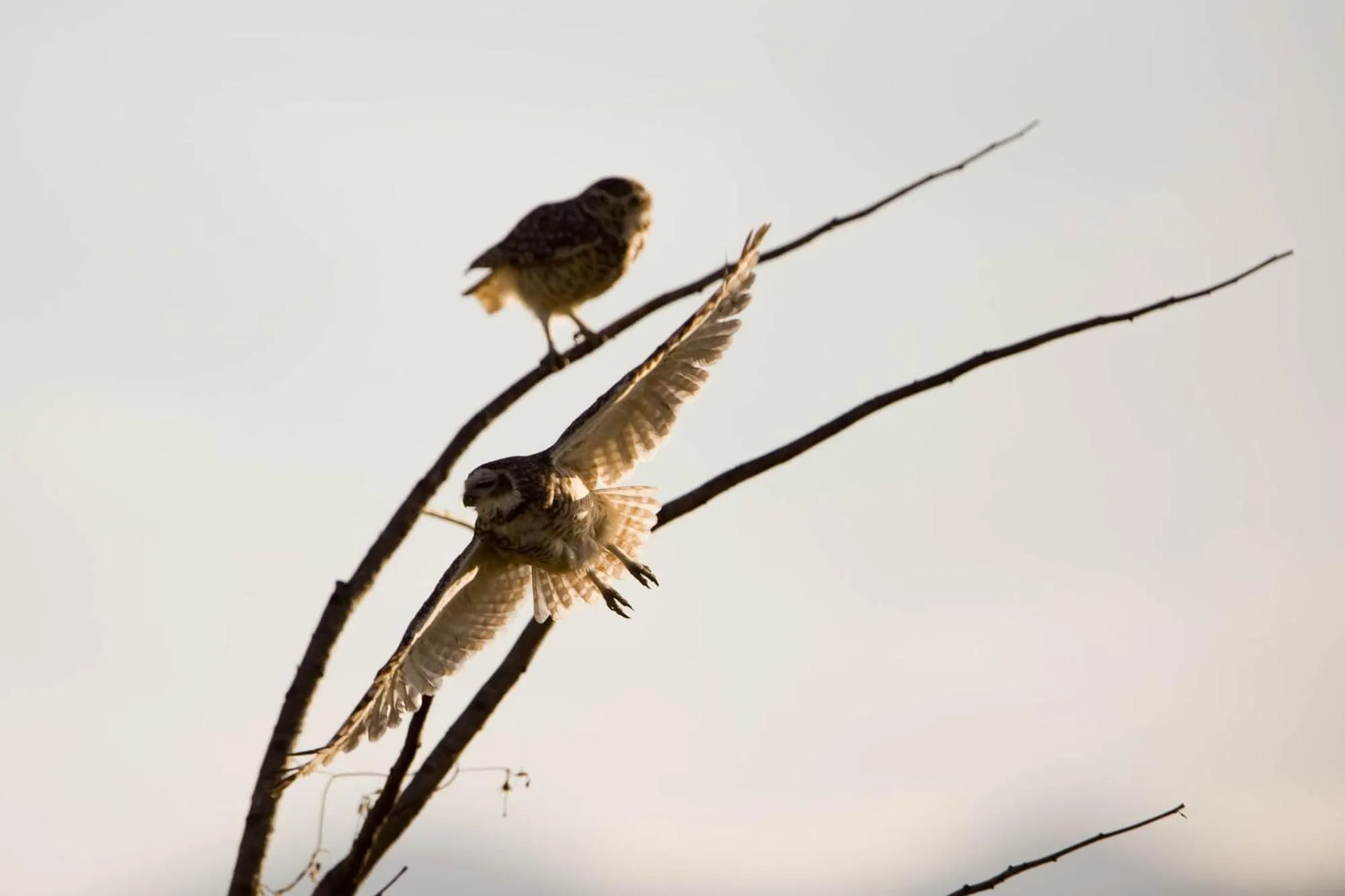 Activities in House of Jasmines Relais & Châteaux