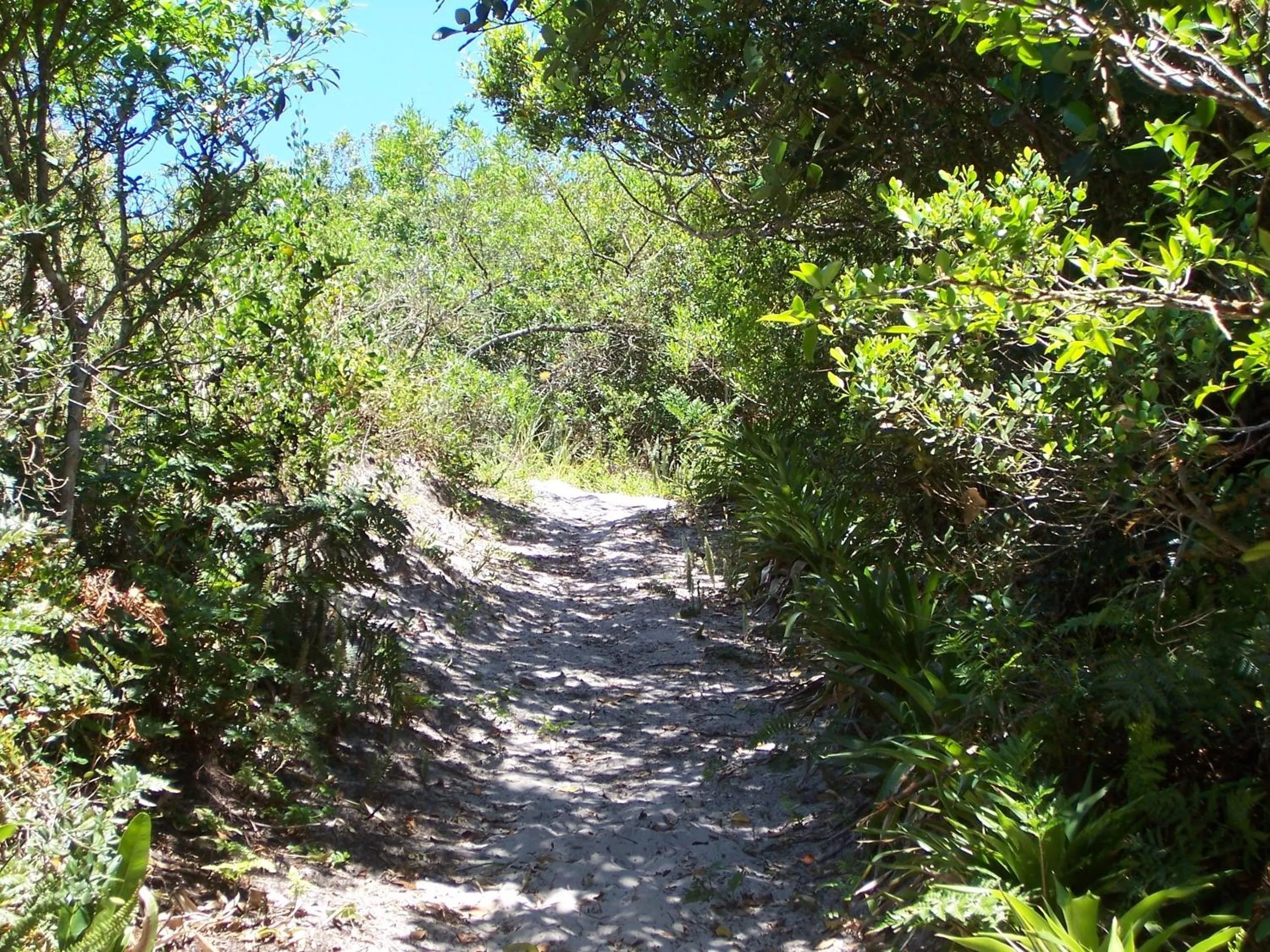 Garden in Pousada Mares do Santinho