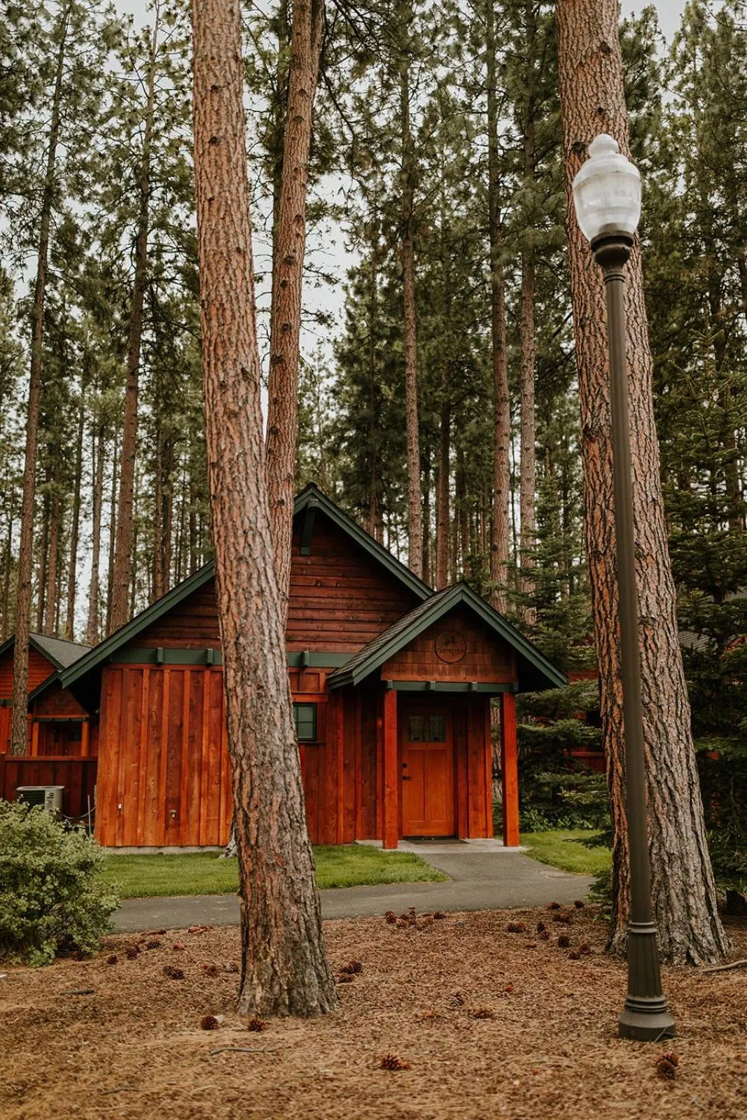 Property building in FivePine Lodge