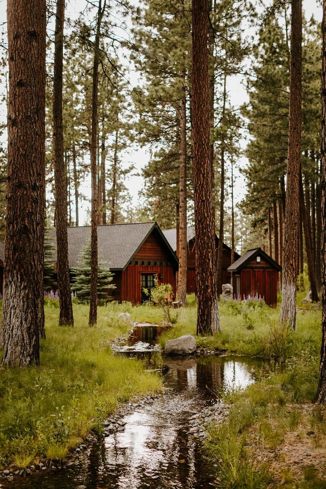 Property building in FivePine Lodge