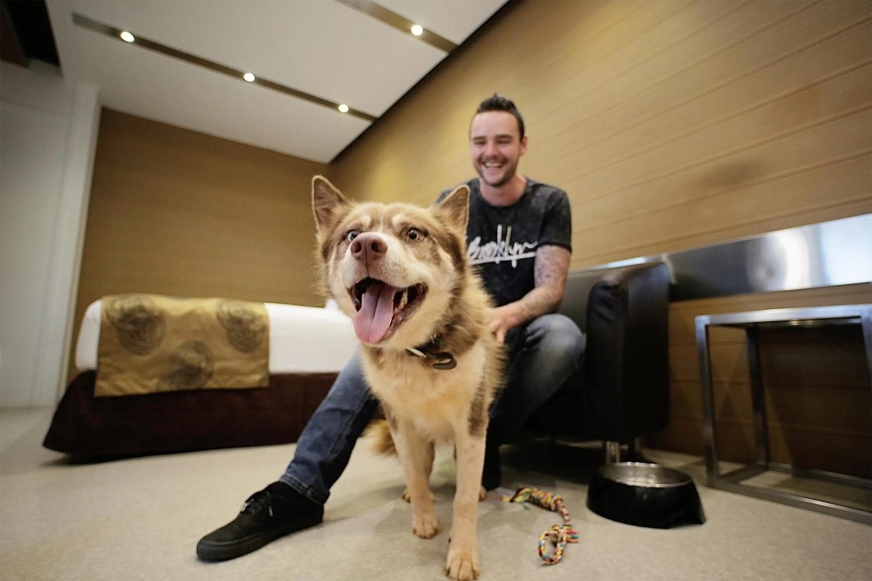 Pets in Room Motels Kingaroy