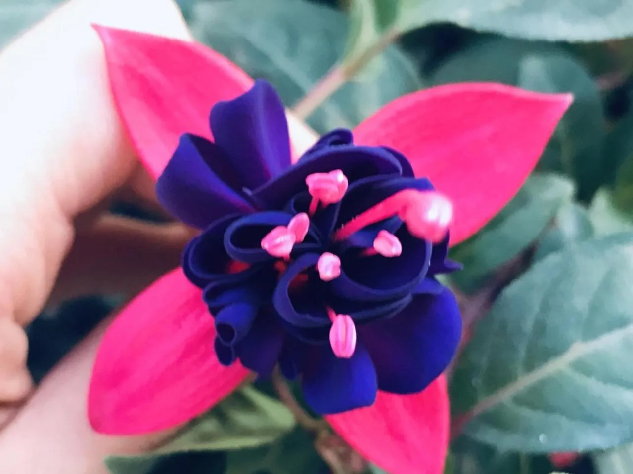 Property building in Ha Khoa Hotel Dalat