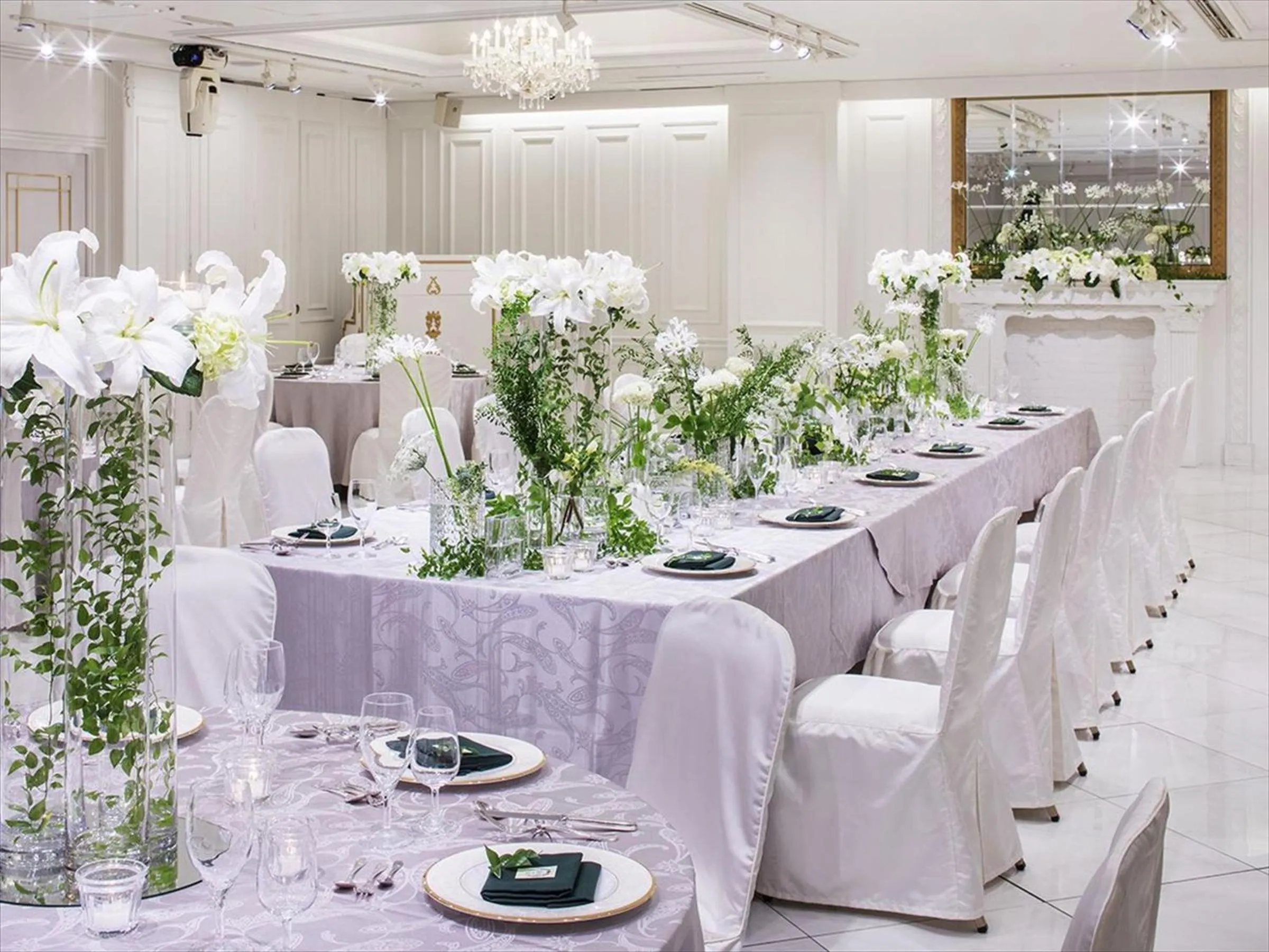 Area and facilities in Hotel Plumm