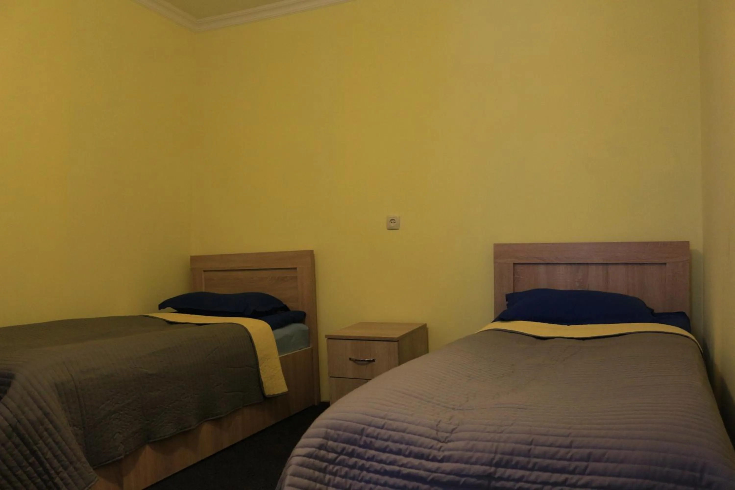 Budget Twin Room in Inga & Irma Jafaridze Guesthouse Pele