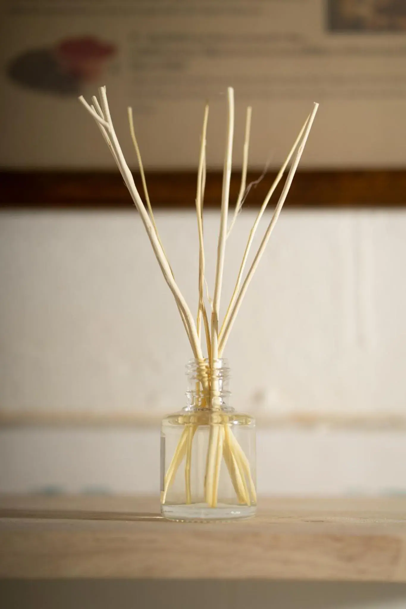 Past Tense Hostel Past Tense Hostel