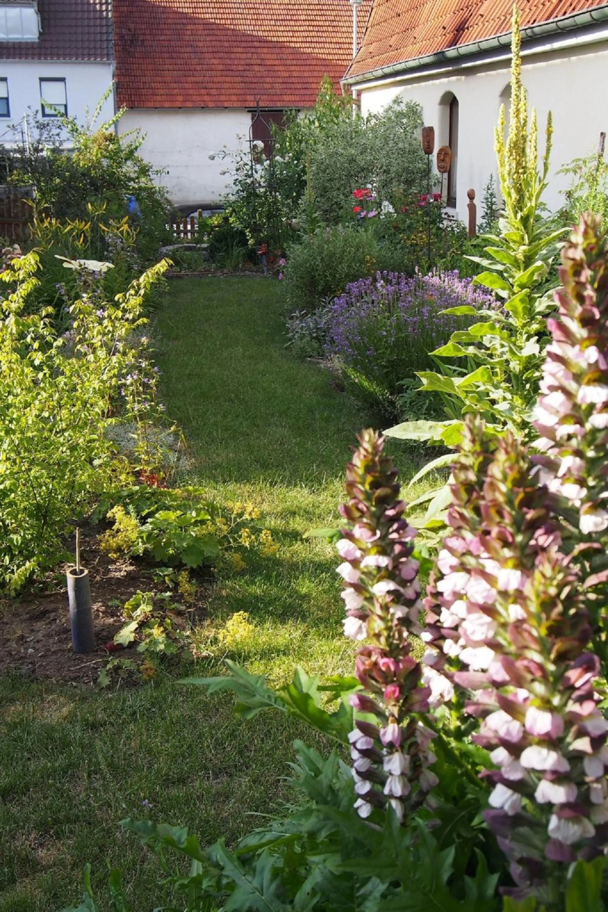 Garden in Ferienwohnung Seidenfaden