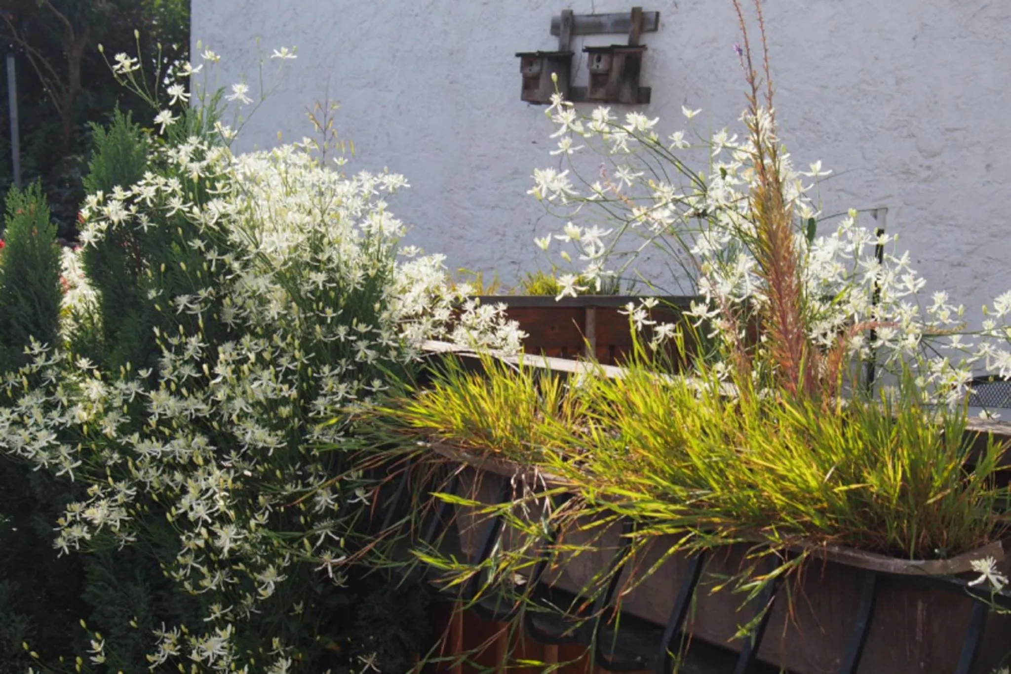Garden in Ferienwohnung Seidenfaden