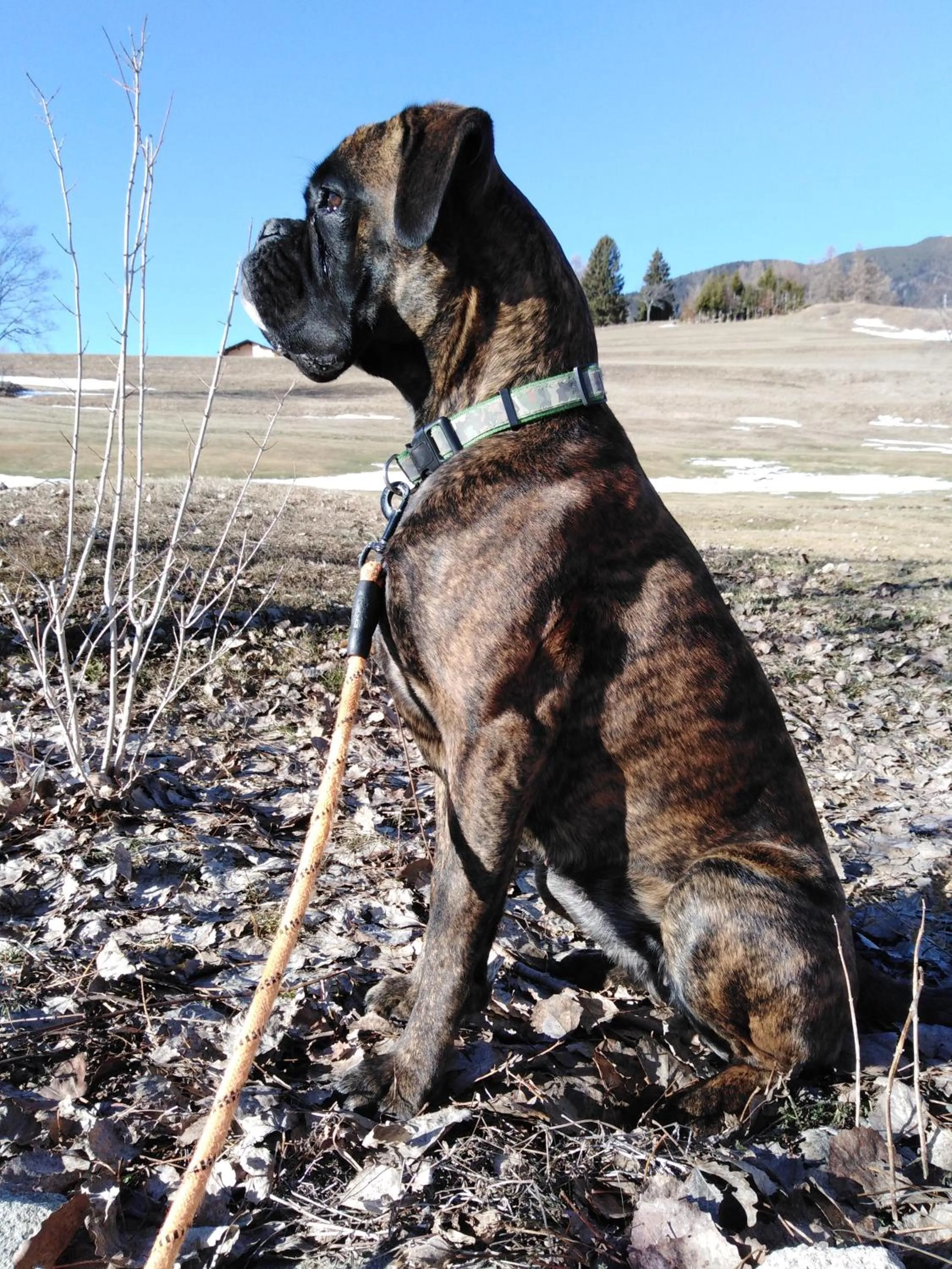 Hotel B&B Francolini