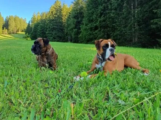 Hotel B&B Francolini