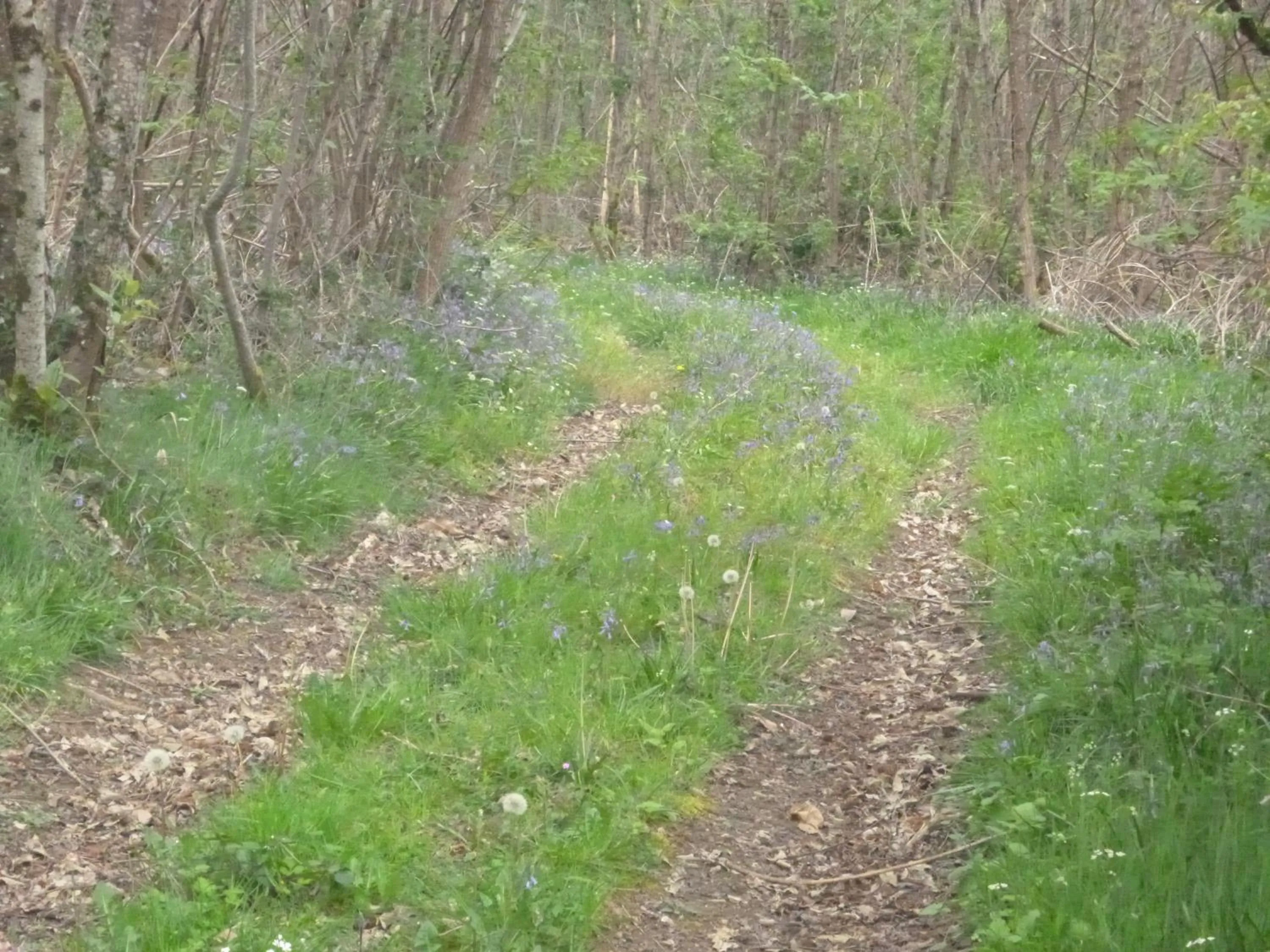 La Maison Des Fleurs