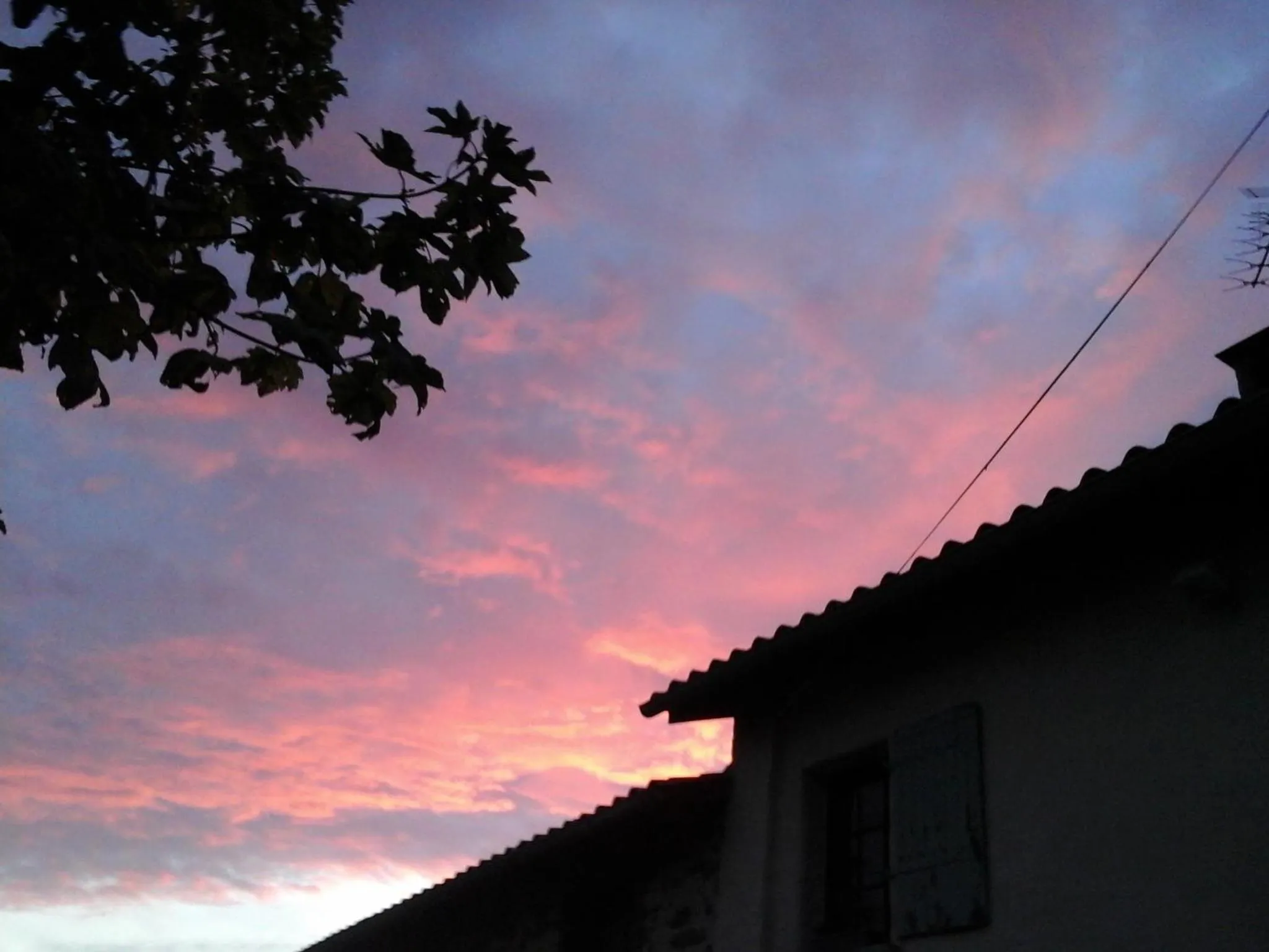 La Maison Des Fleurs