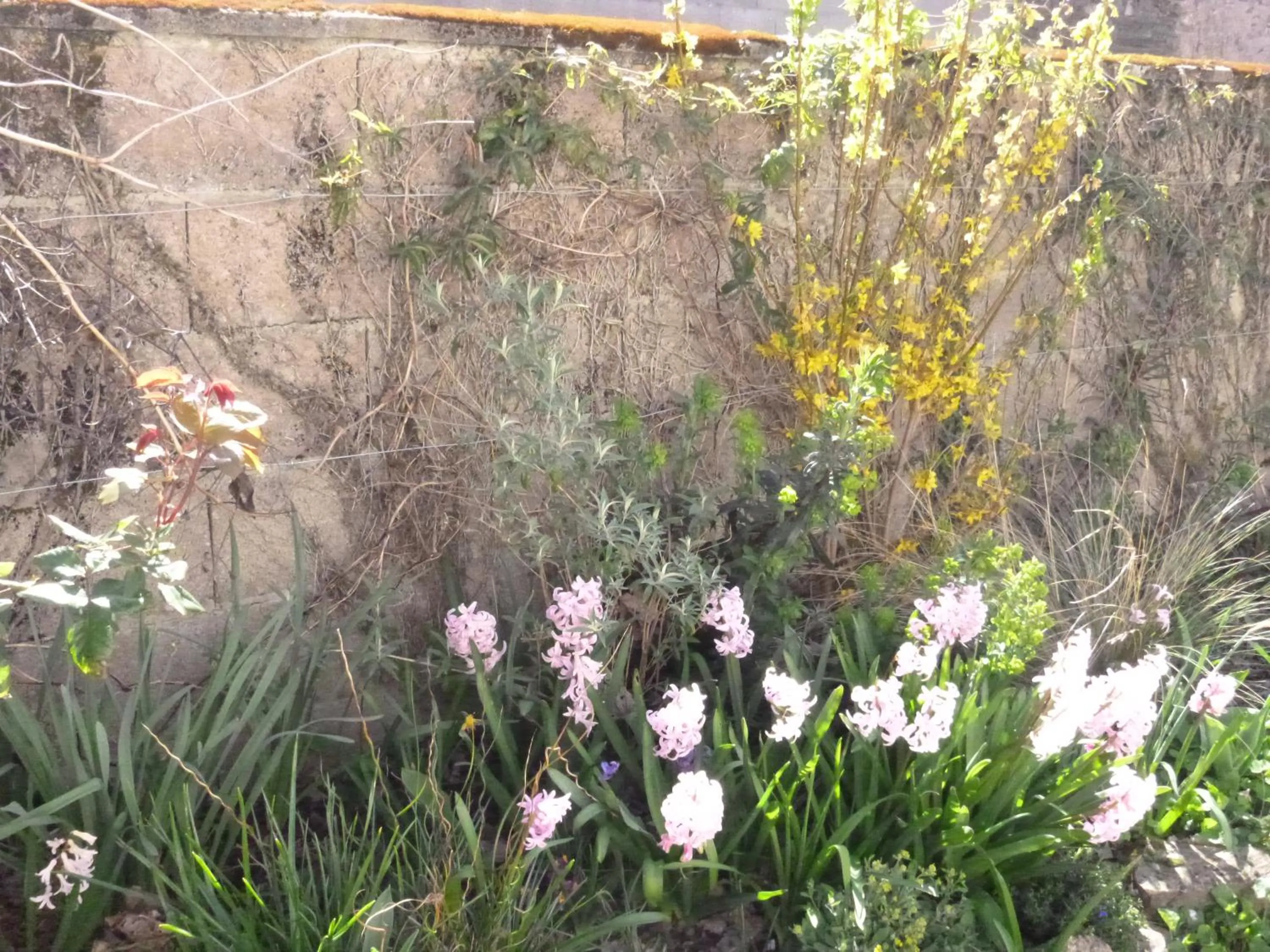 La Maison Des Fleurs