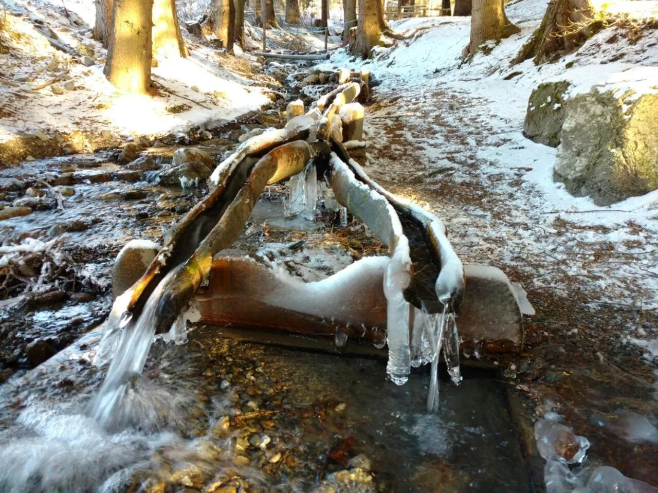 Natural landscape in Sporthotel Rasen