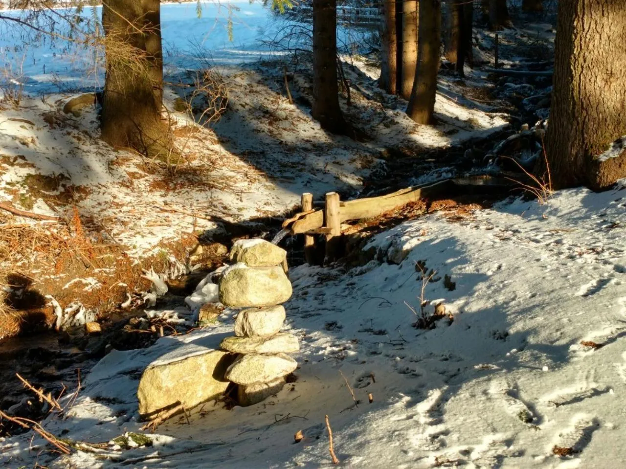 Natural landscape in Sporthotel Rasen