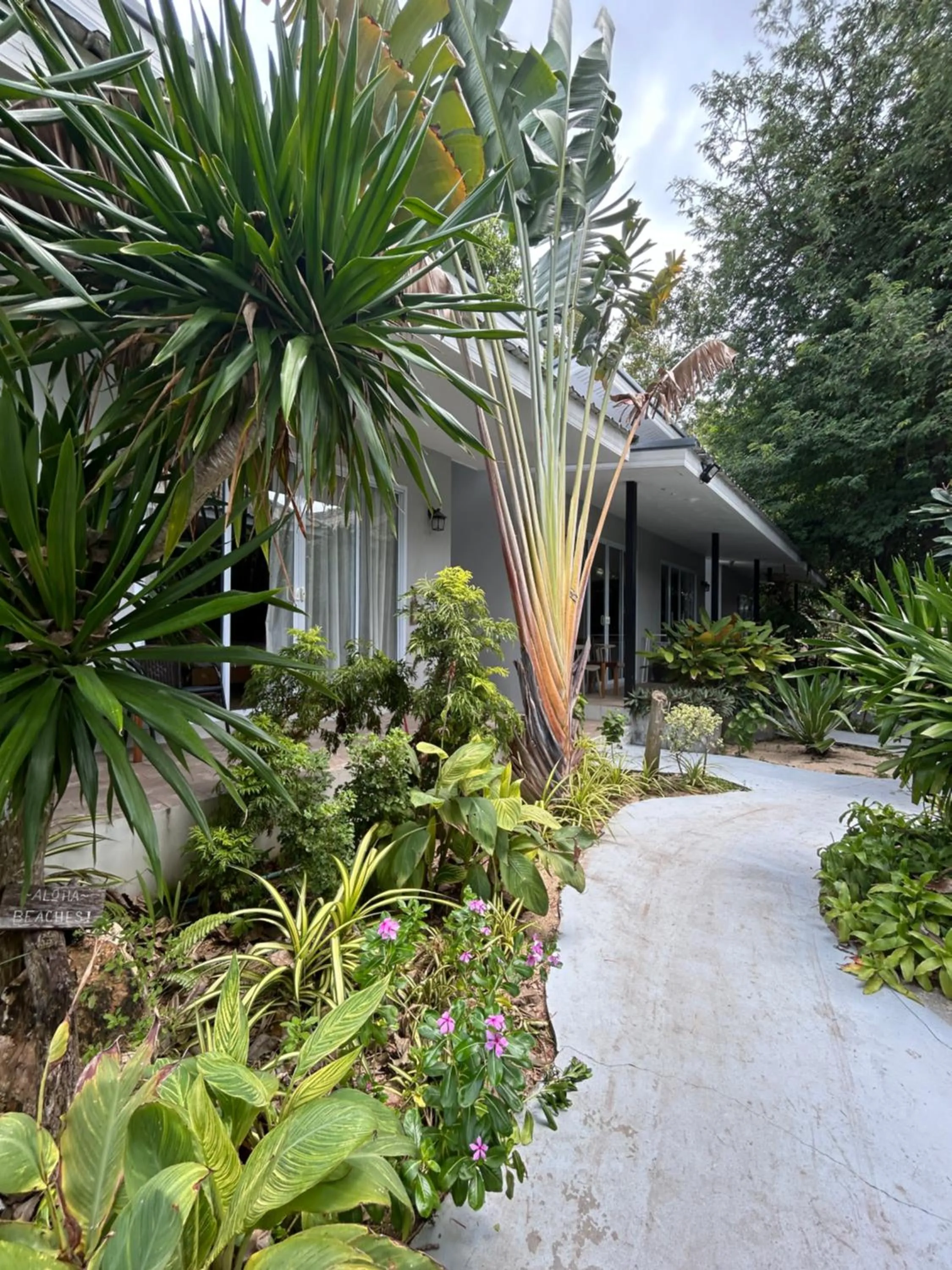 Garden in Pico Samui