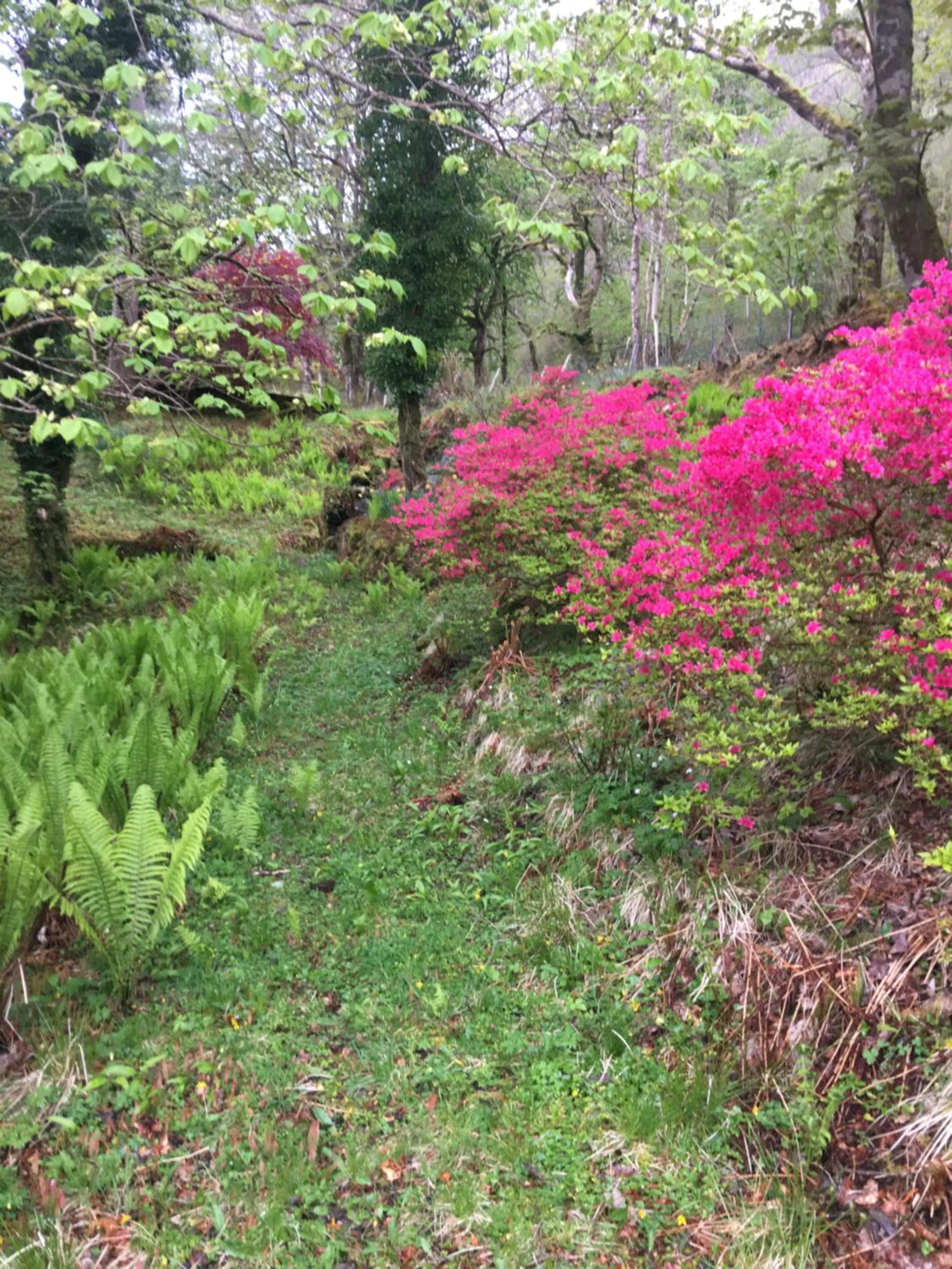 Invercreran Lodge Luxury Bed & Breakfast