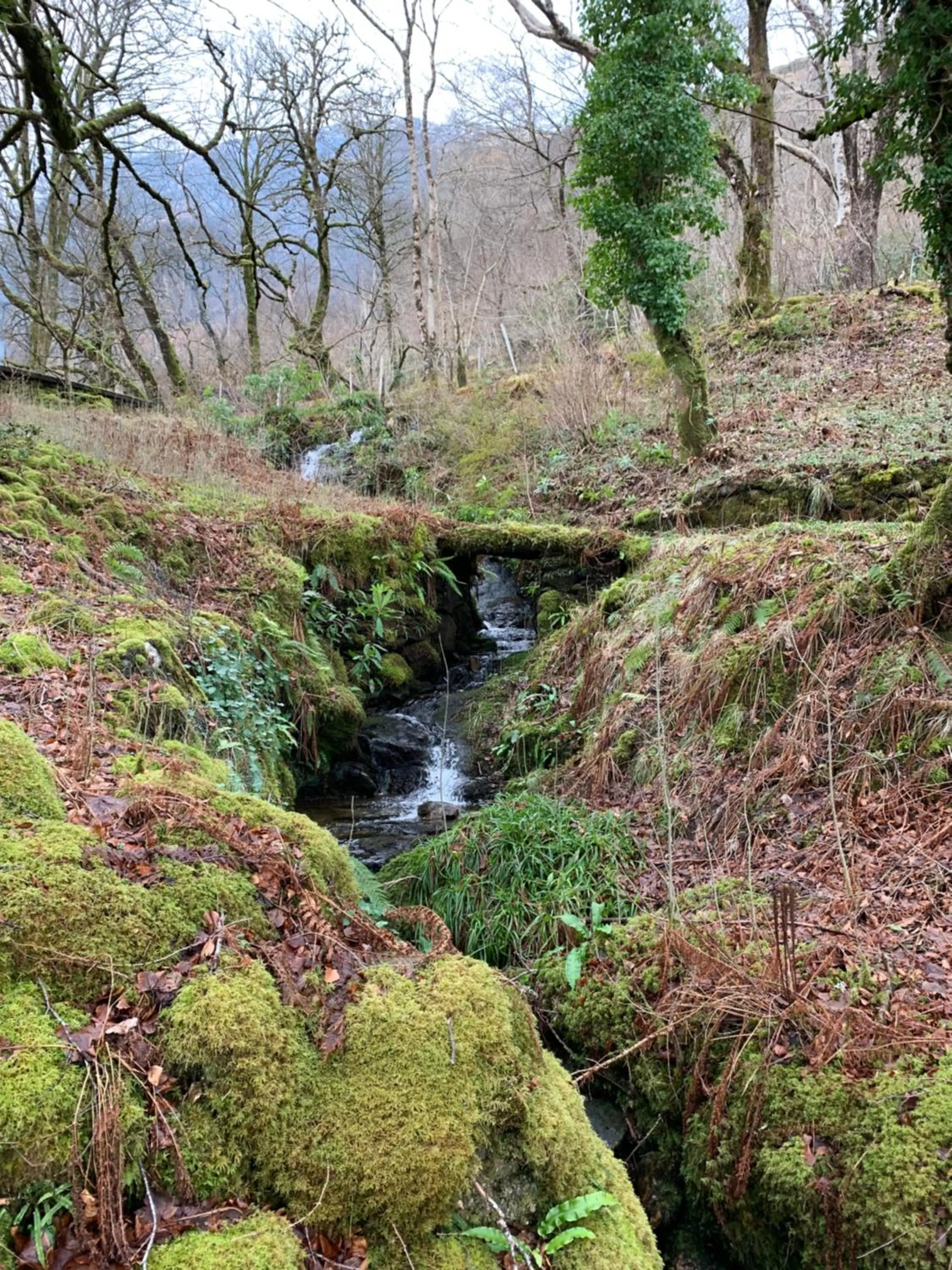 Garden in Invercreran Lodge Luxury Bed & Breakfast