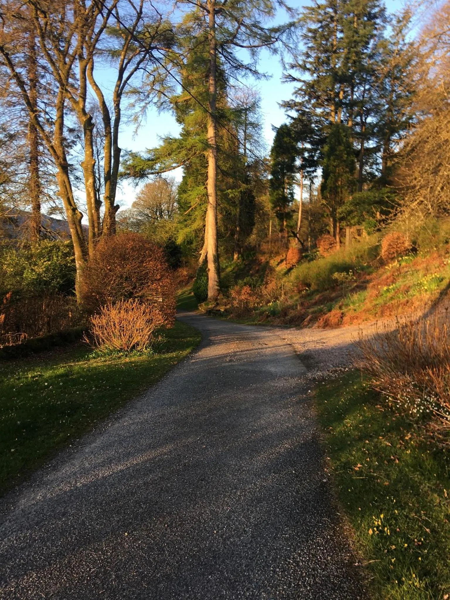 Invercreran Lodge Luxury Bed & Breakfast