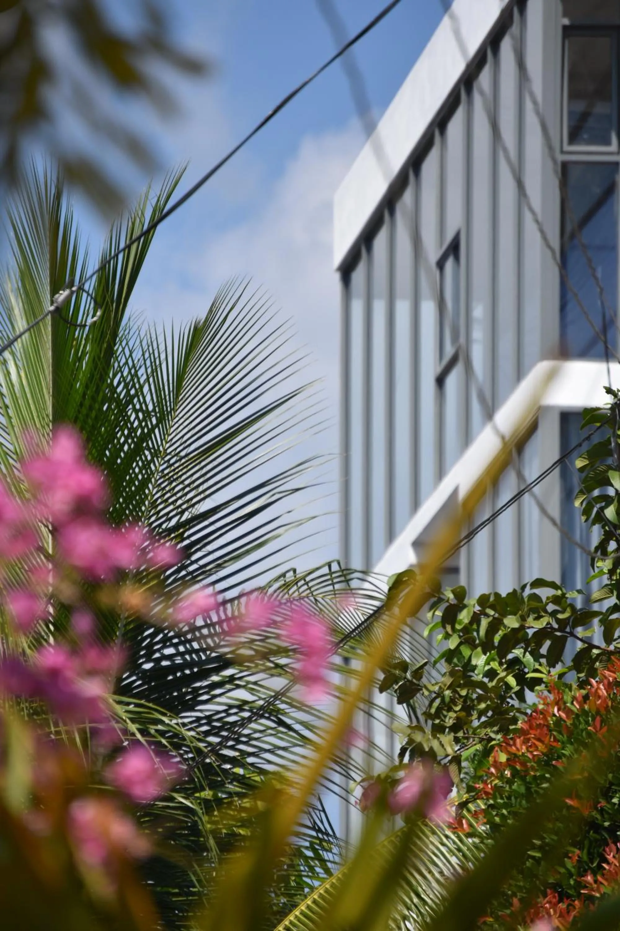 Property building in X Mirissa