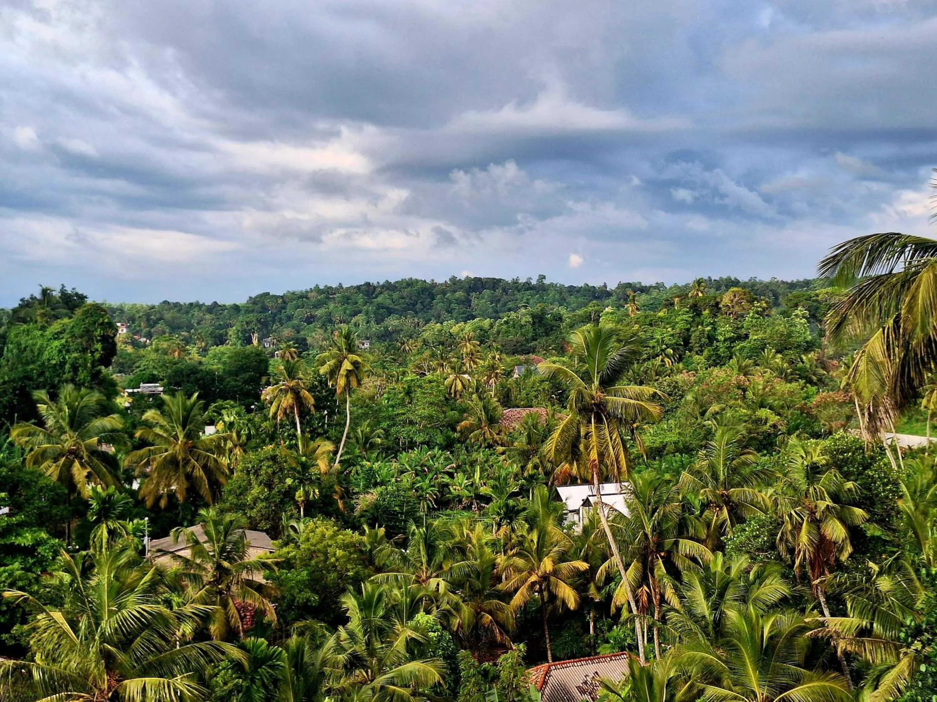 Mountain view in X Mirissa