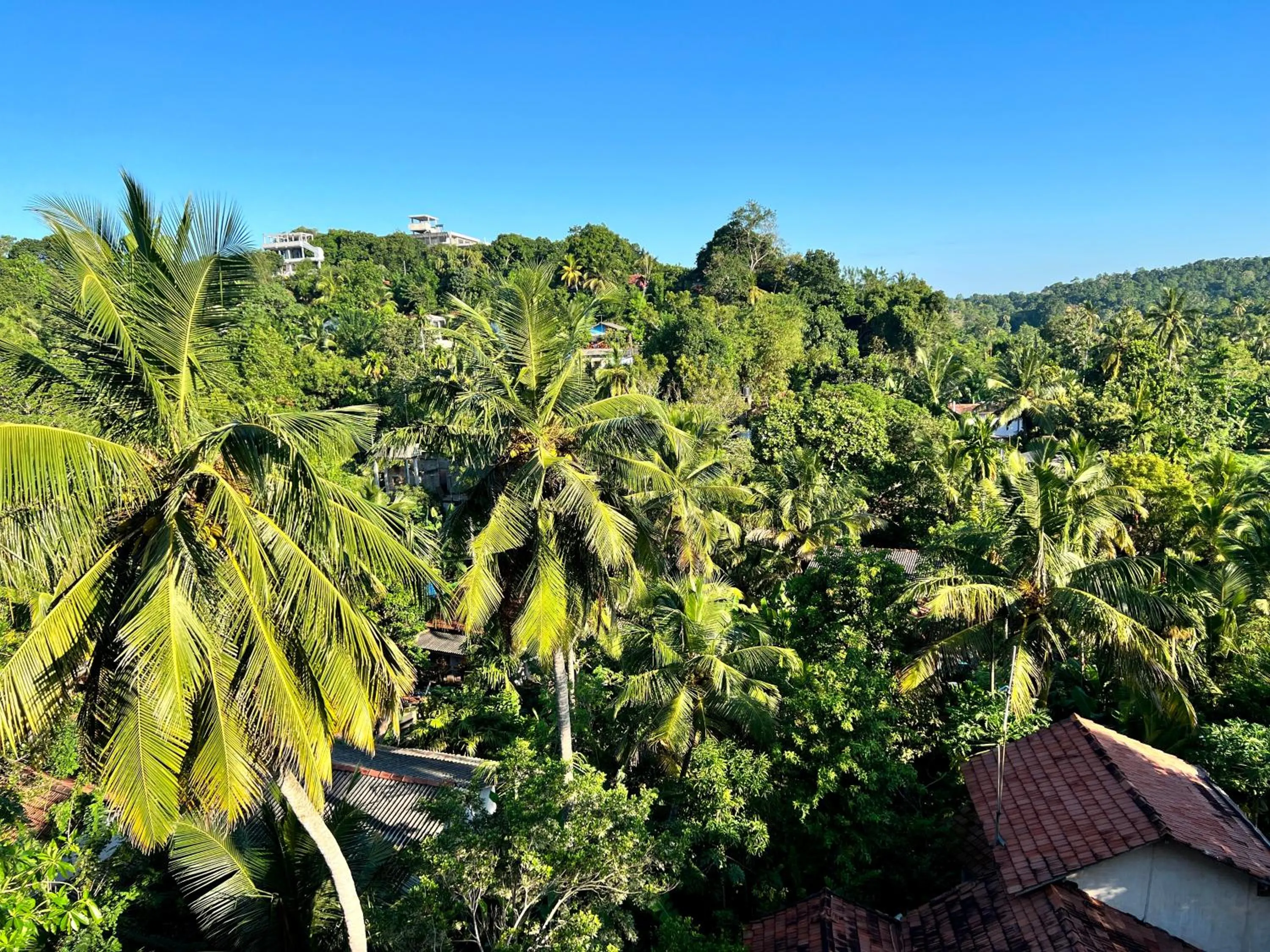 Natural landscape in X Mirissa
