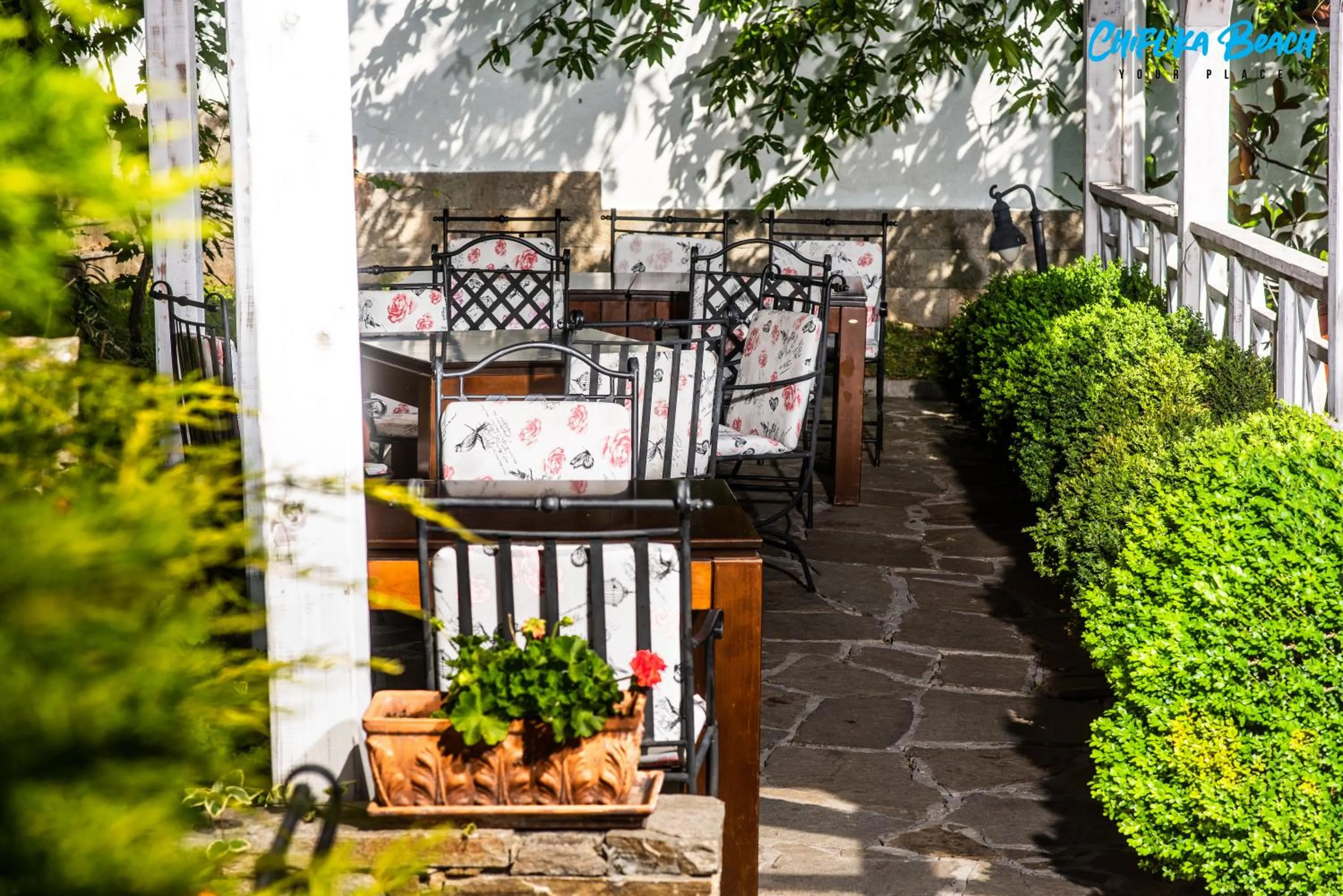 Day in Chiflika Family Hotel