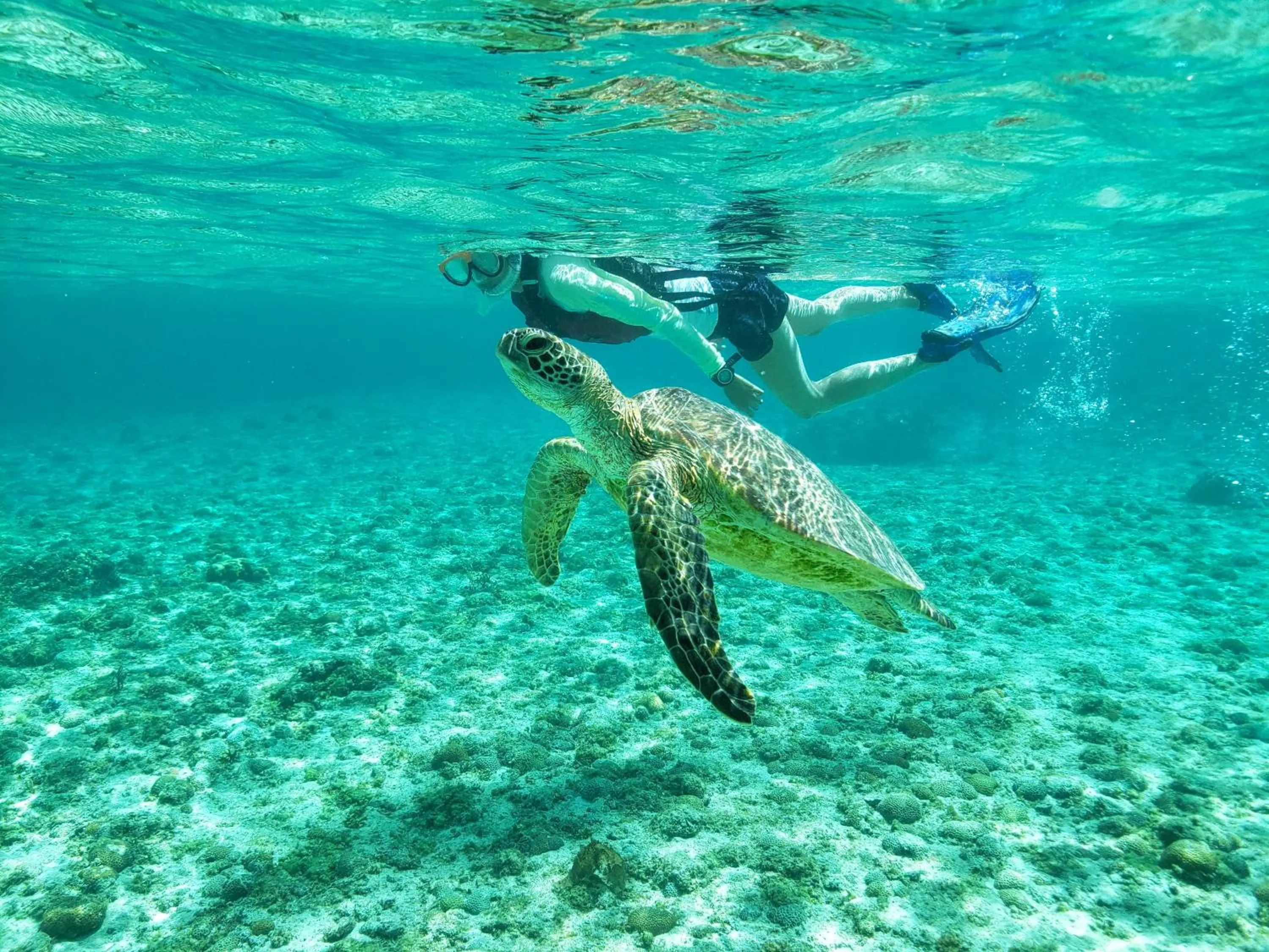 Activities in Hotel Shigira Mirage