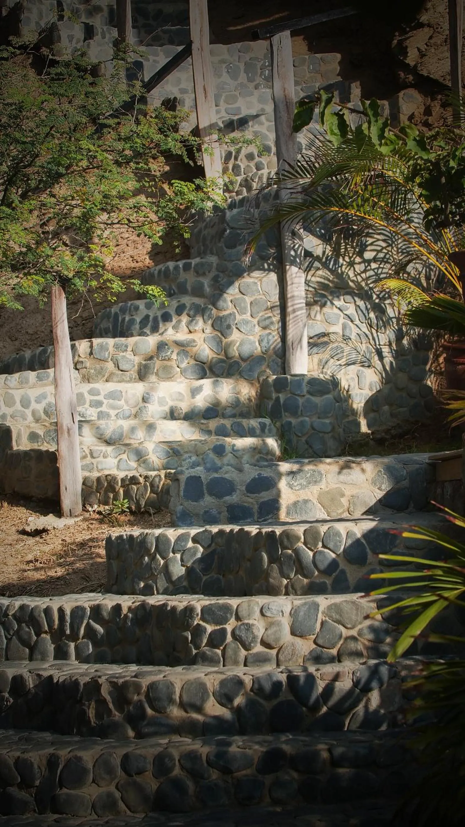 Property building in Amai Luna