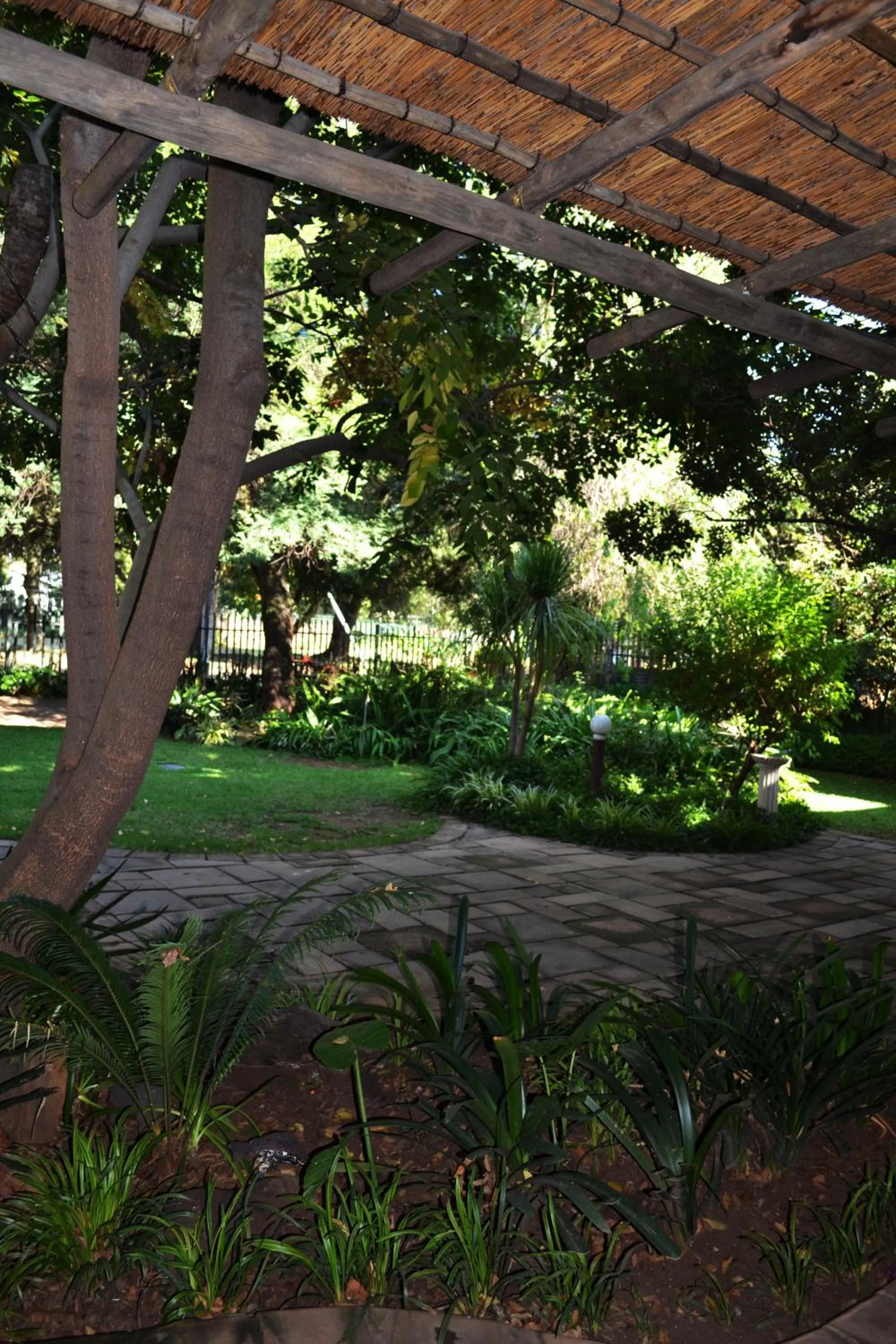 Day in Dove's Nest Guest House