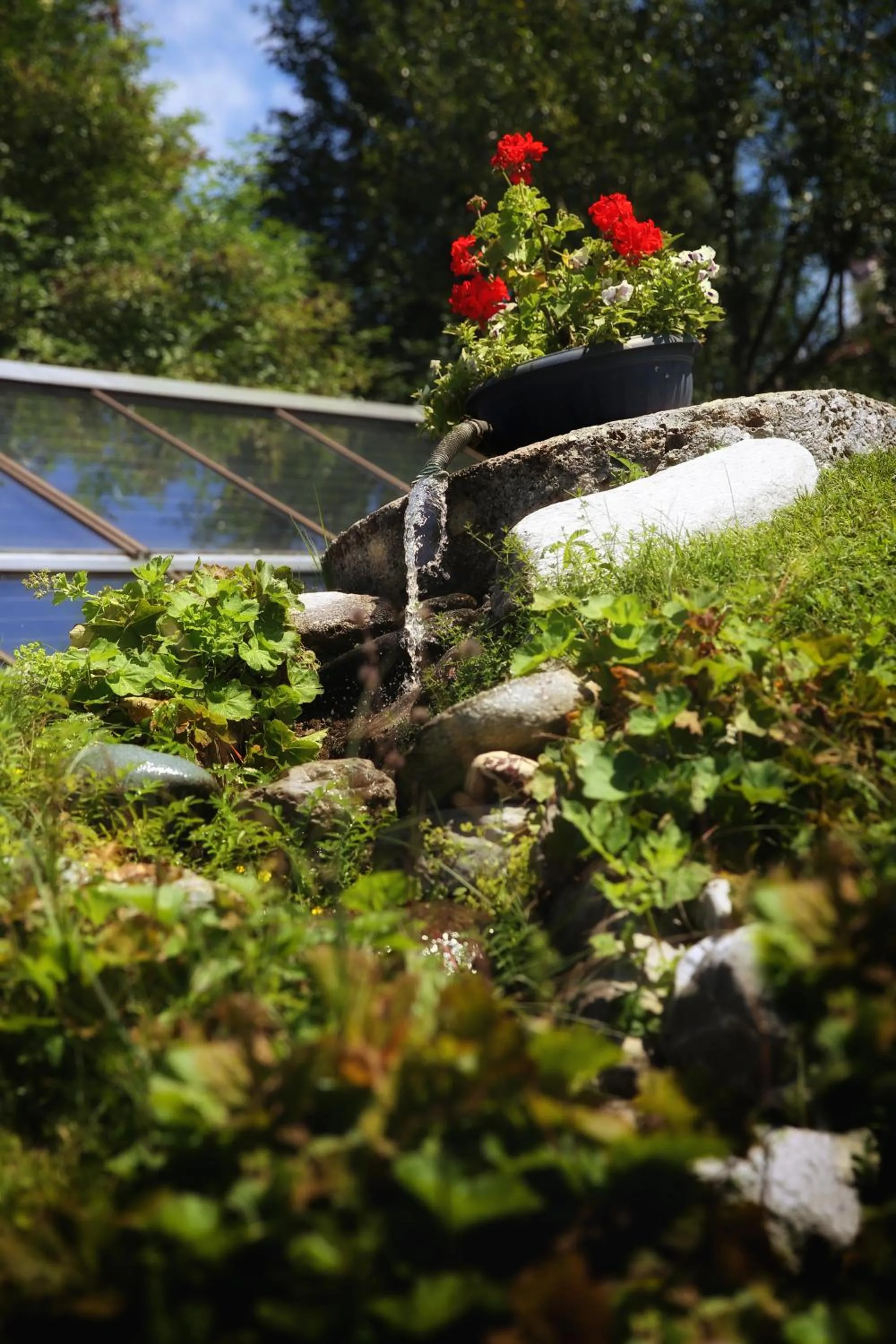 Natural landscape in Landhaus Alpengruss