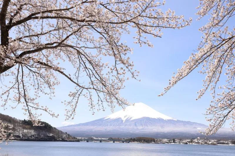 Kawaguchiko Superba Vista Annex