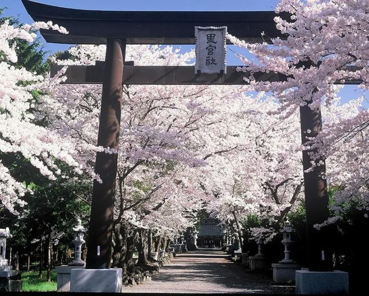 Kawaguchiko Superba Vista Annex