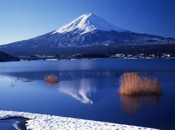 Kawaguchiko Superba Vista Annex