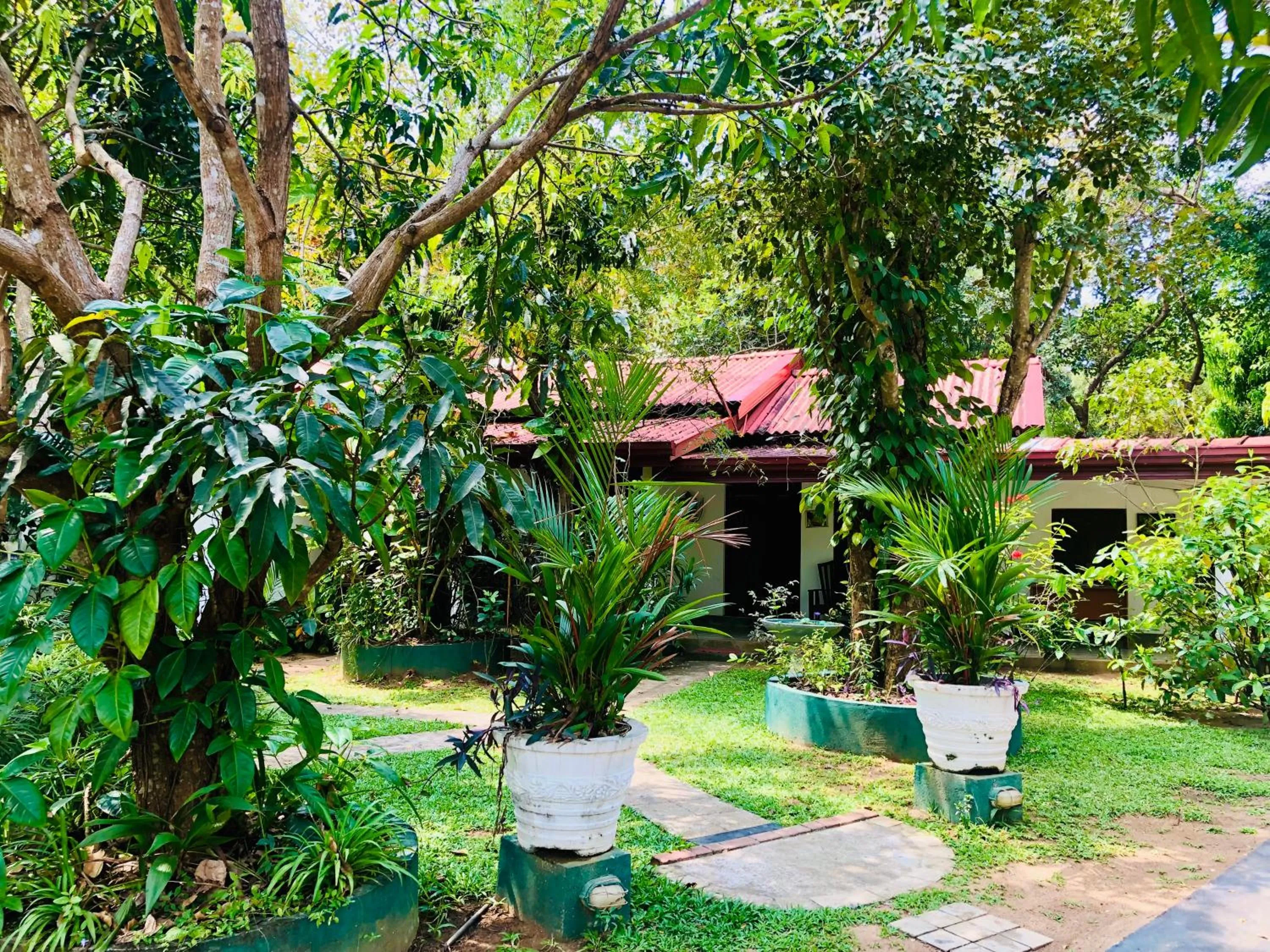 Bangalawa Resort