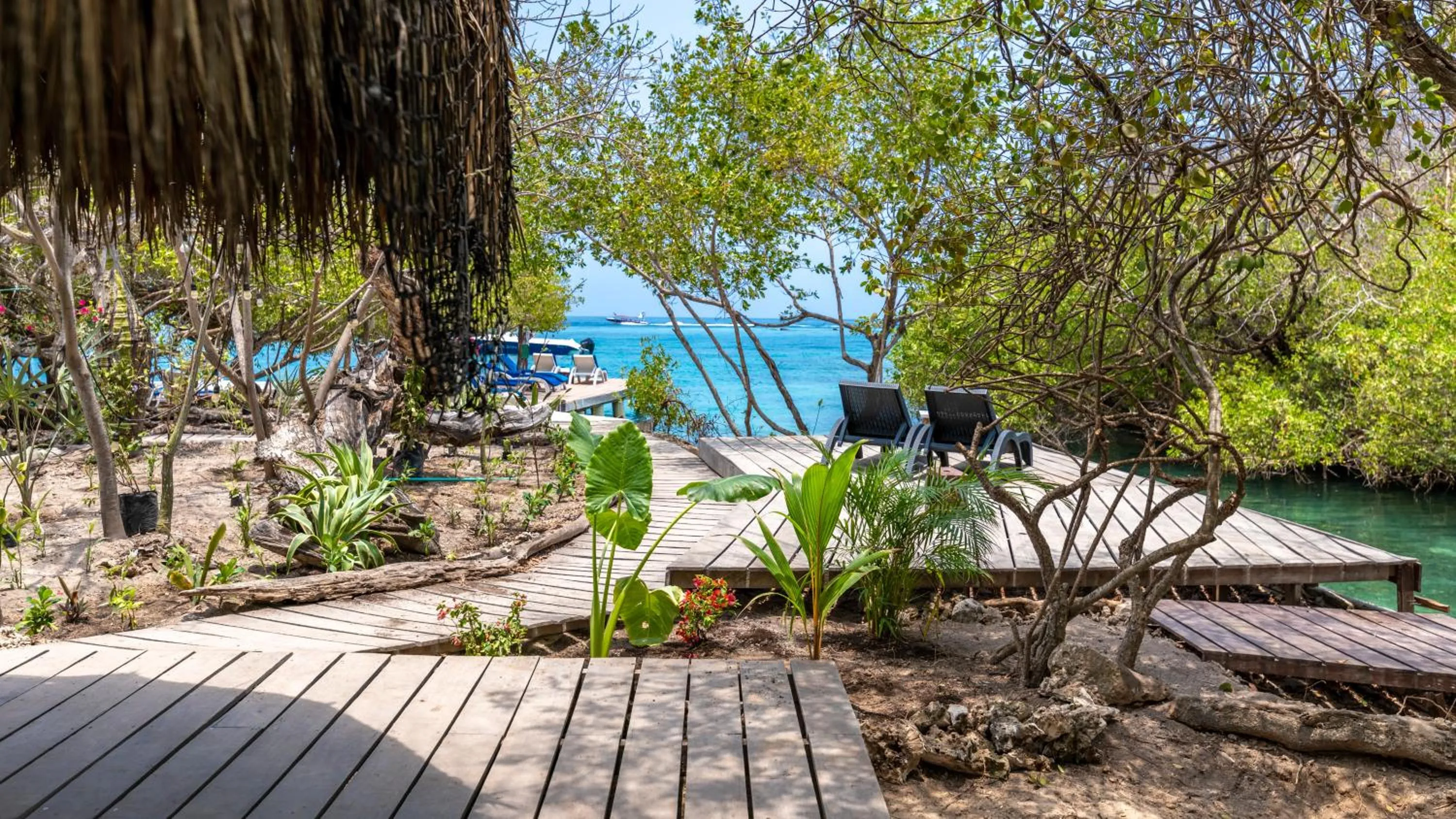 Natural landscape in Hotel Coralina Island