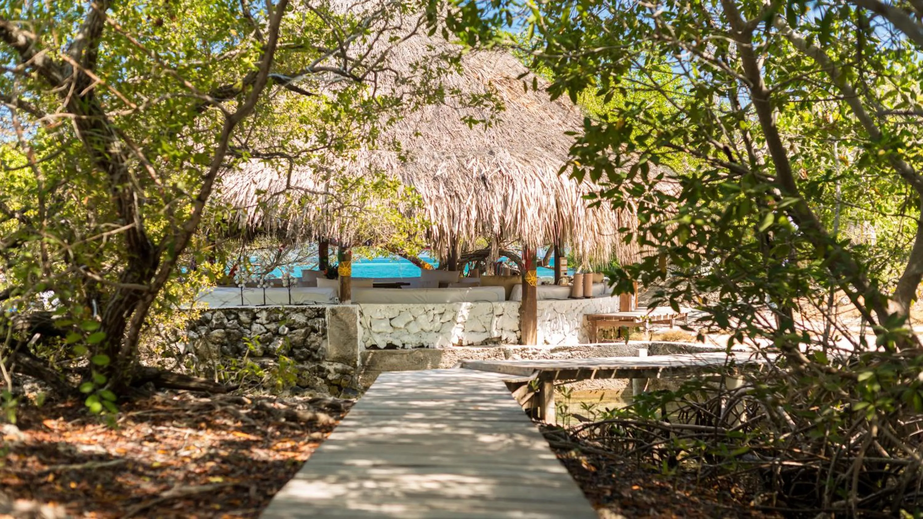 Garden in Hotel Coralina Island