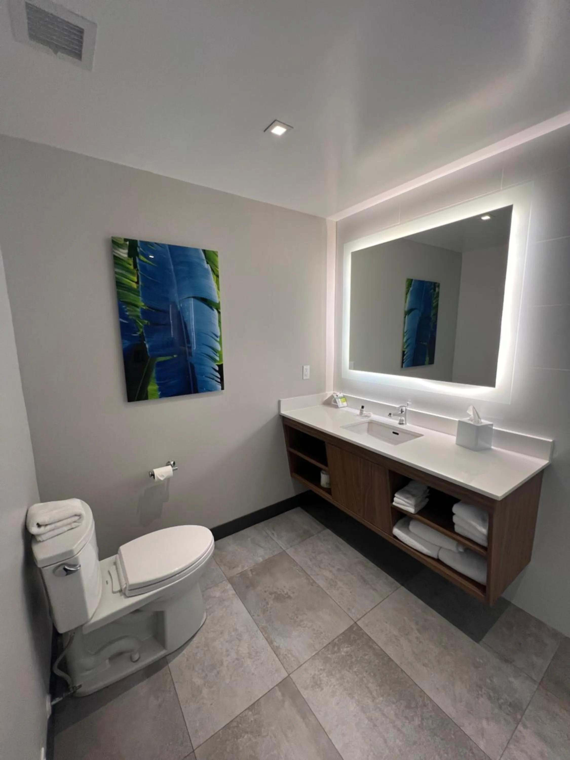 Toilet in Wingate by Wyndham Long Island City