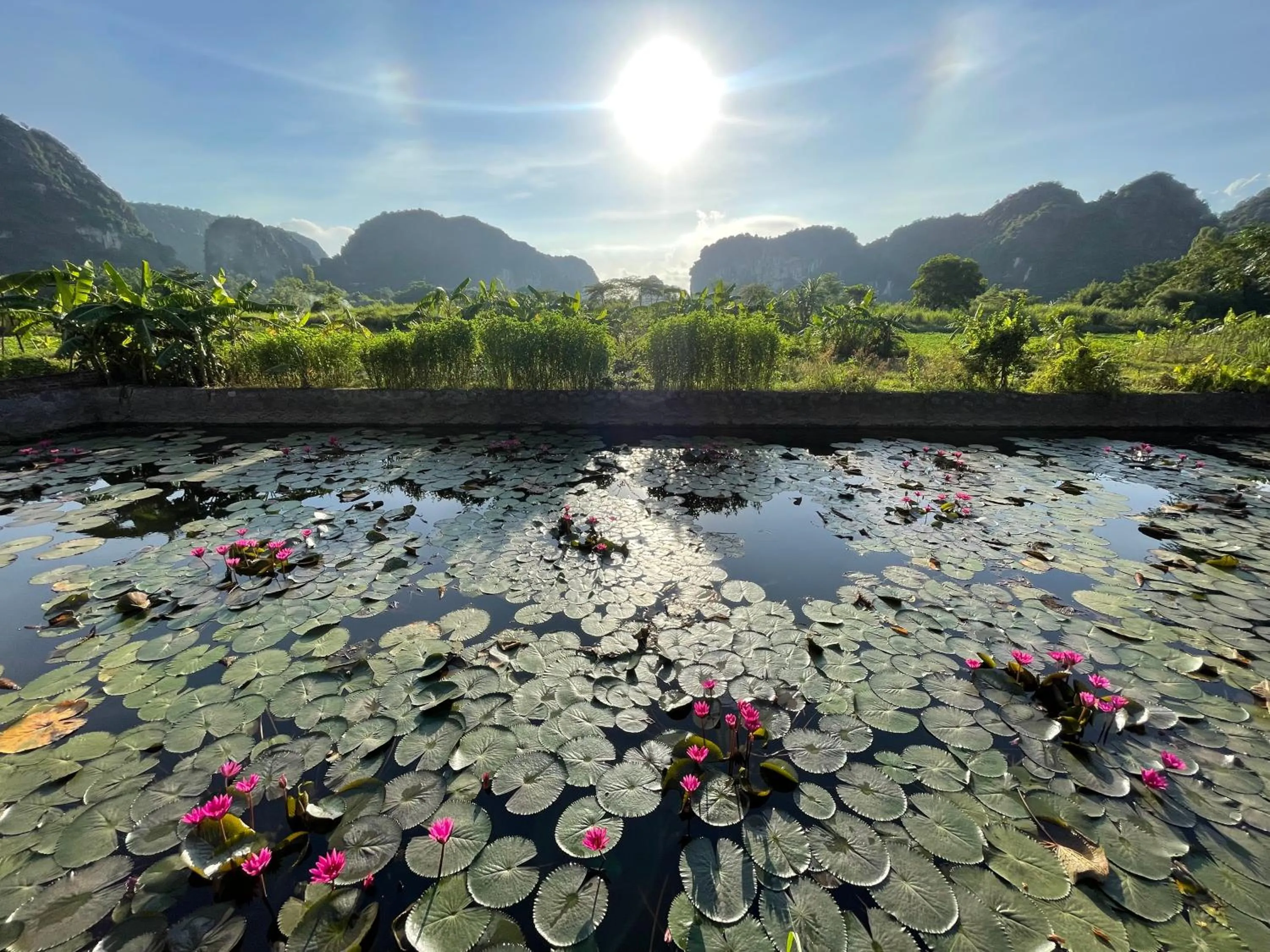 Day in Trang An Lotus Lake Homestay
