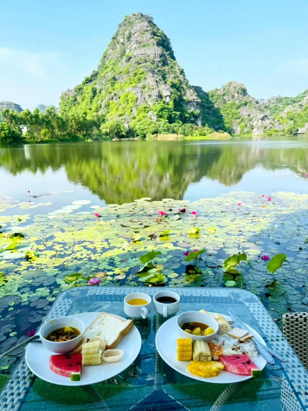 Natural landscape in Trang An Lotus Lake Homestay