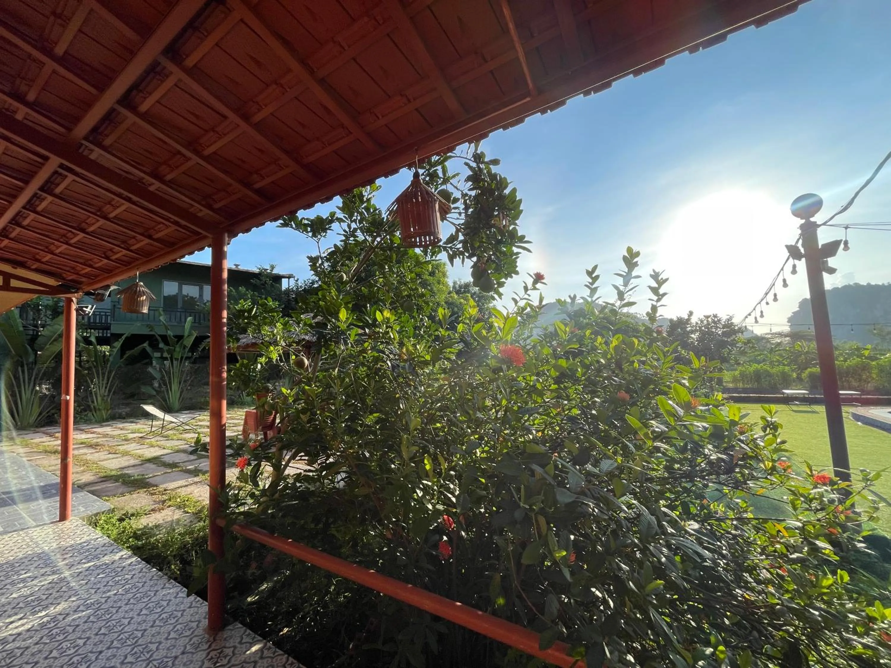 Day in Trang An Lotus Lake Homestay