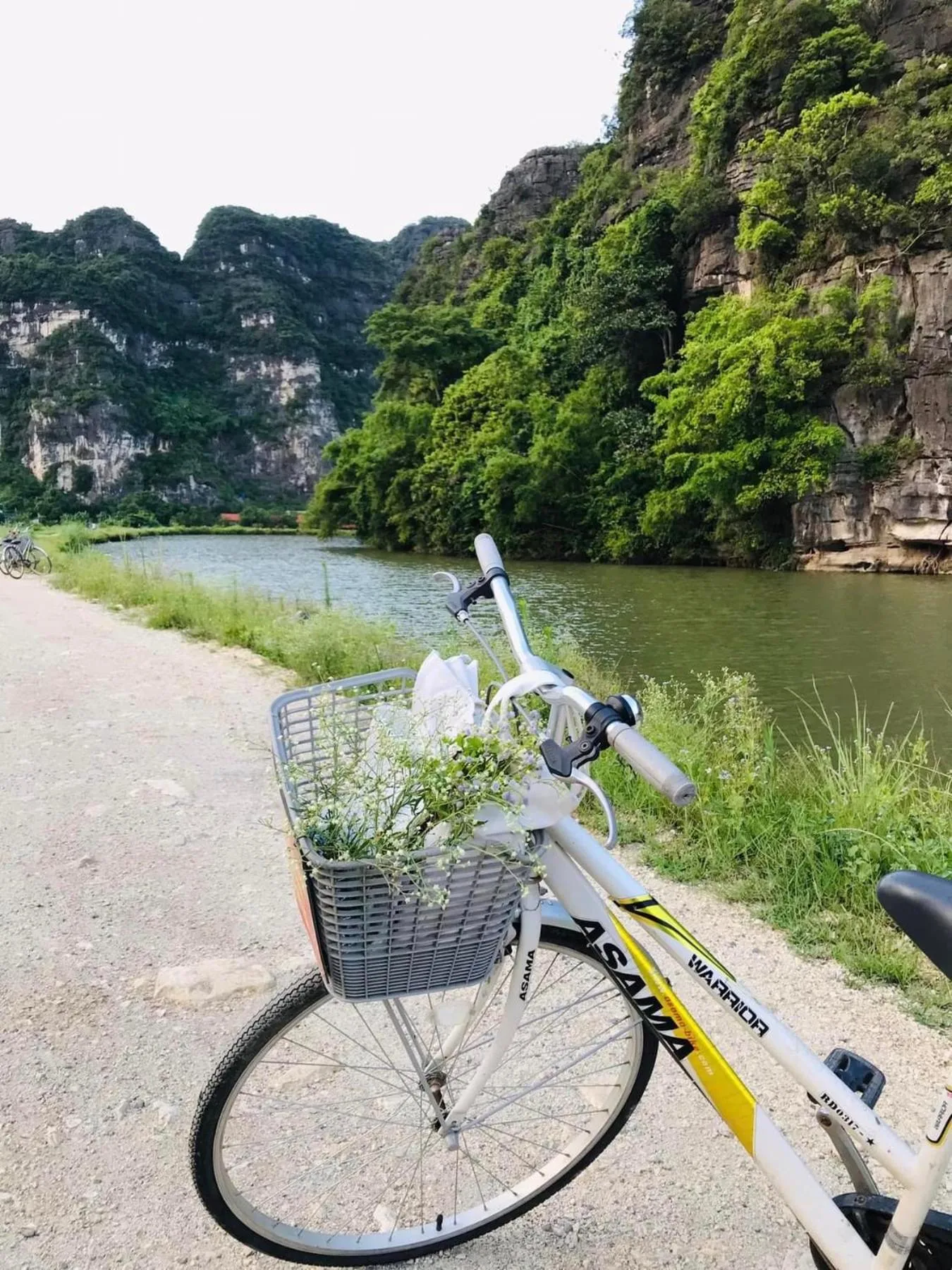 Natural landscape in Trang An Lotus Lake Homestay