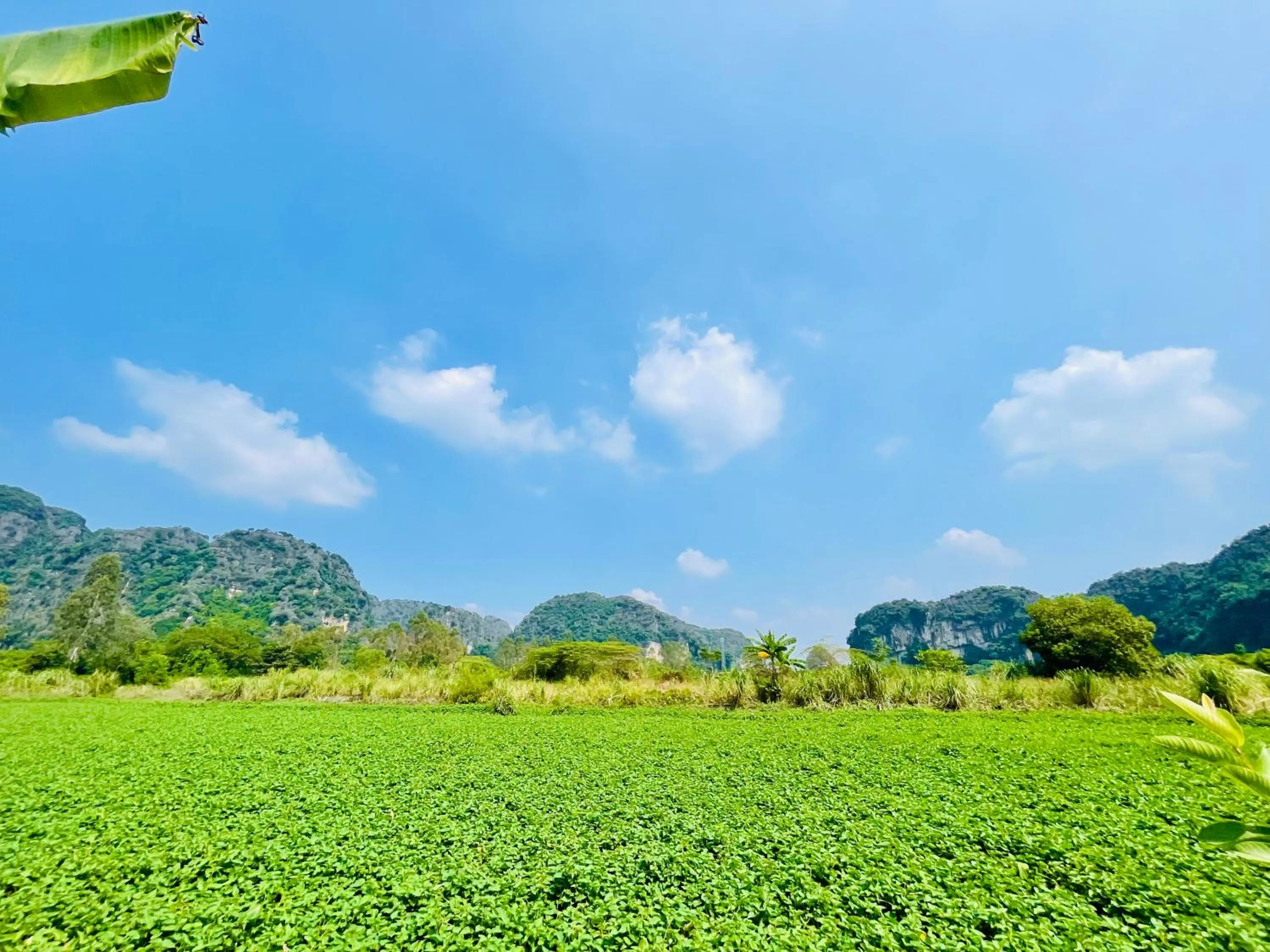 Natural landscape in Trang An Lotus Lake Homestay